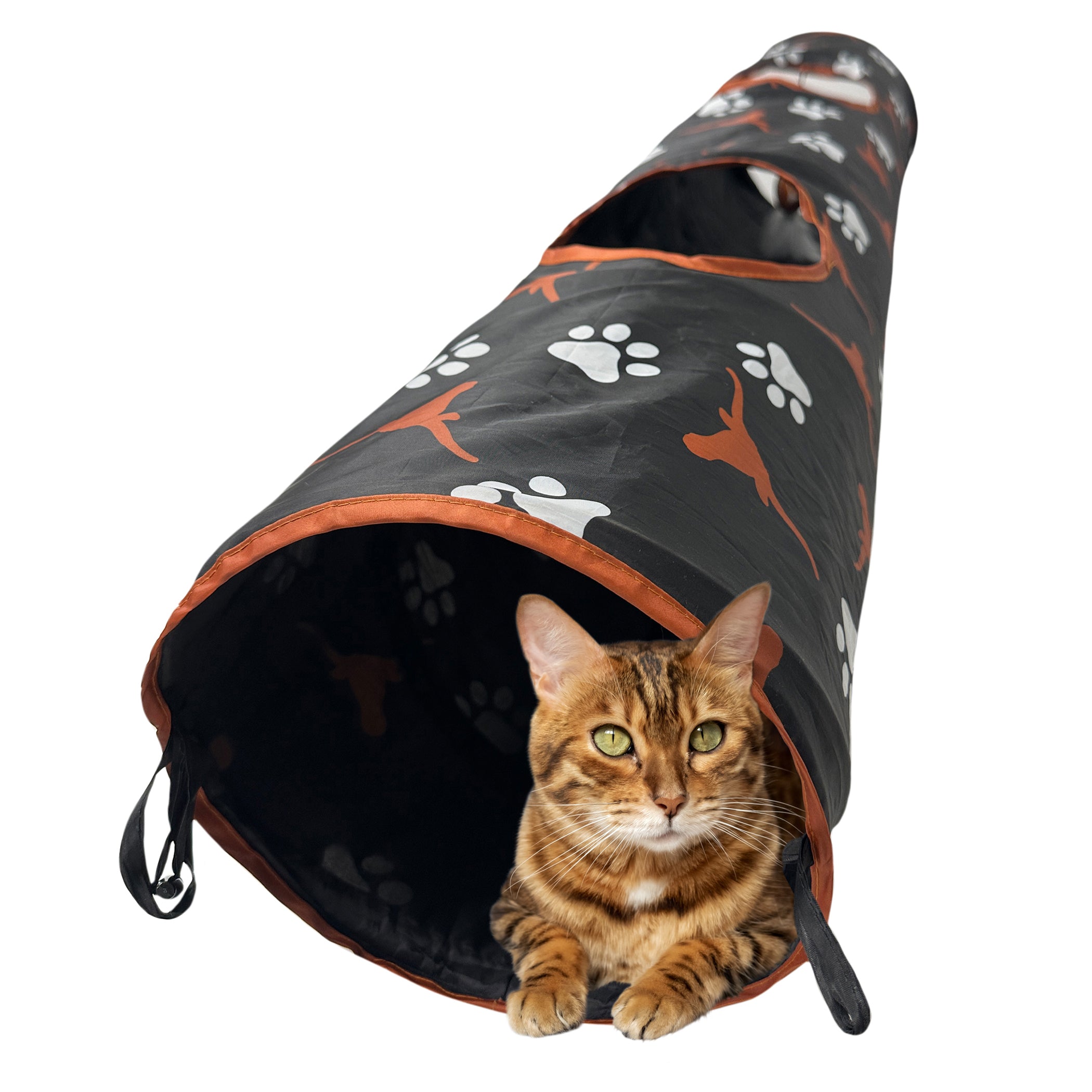 TEXAS LONGHORNS TUNNEL TOY - Image 4