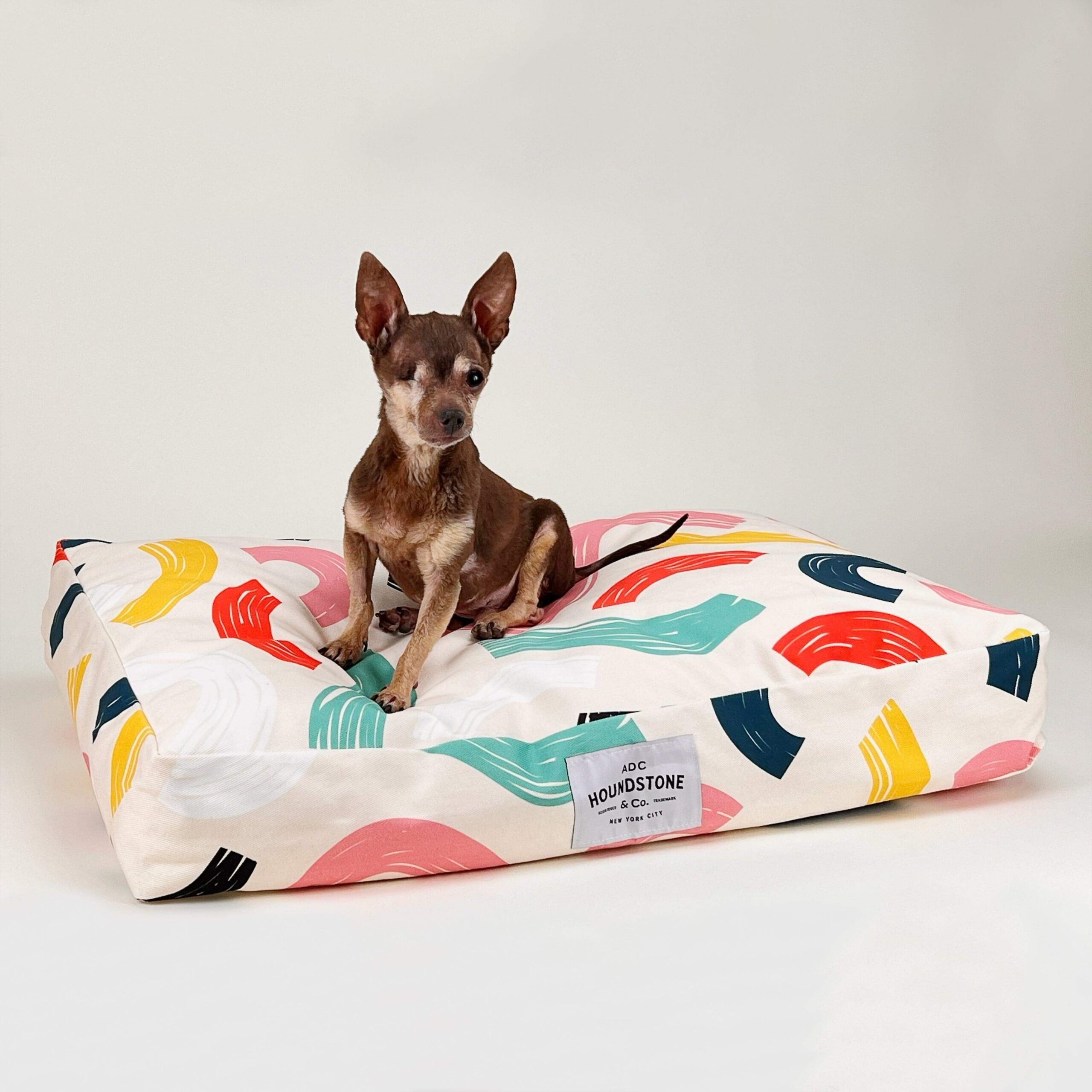 dog bed BC with Lelo