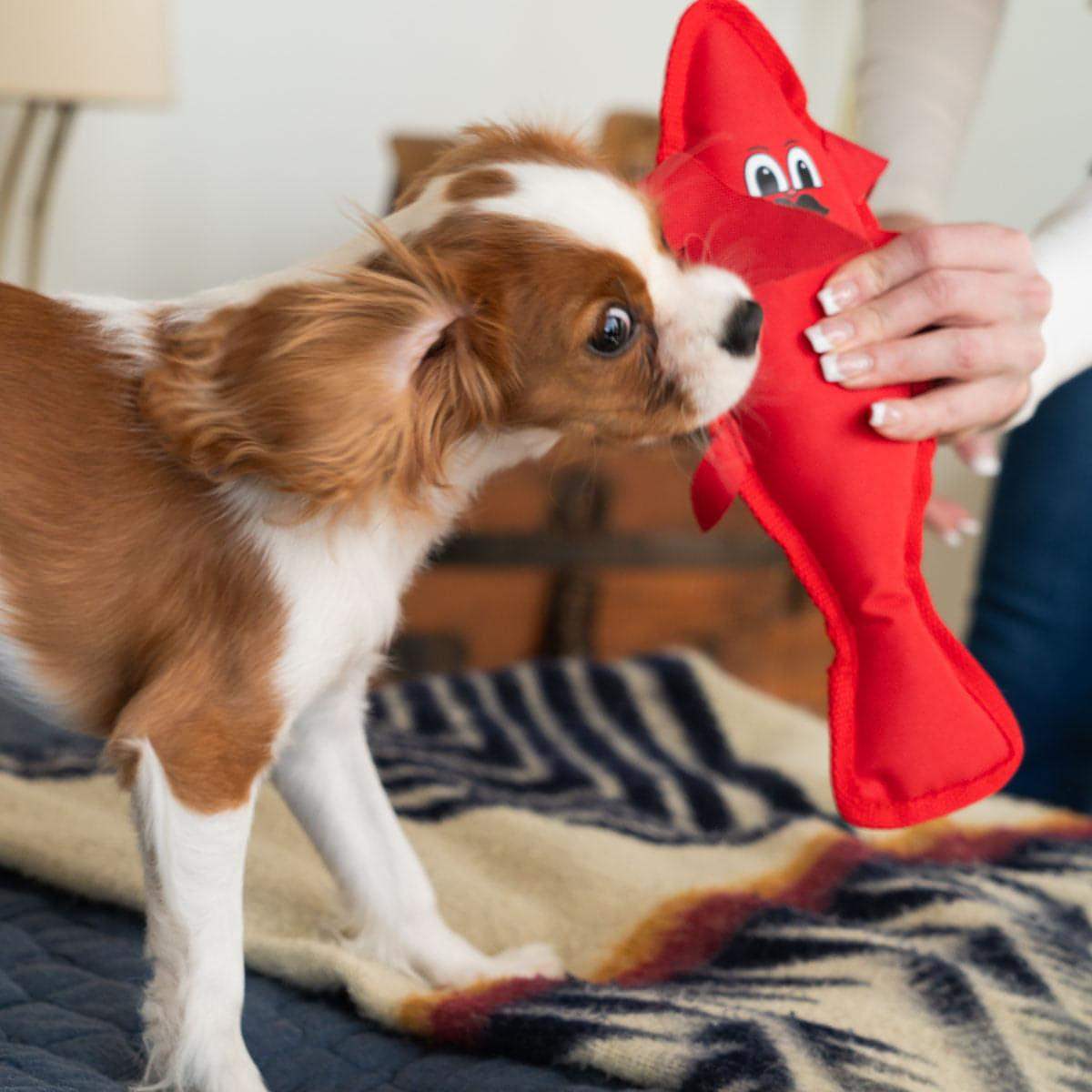 Lobster Squeaky Dog Toy - Image 5