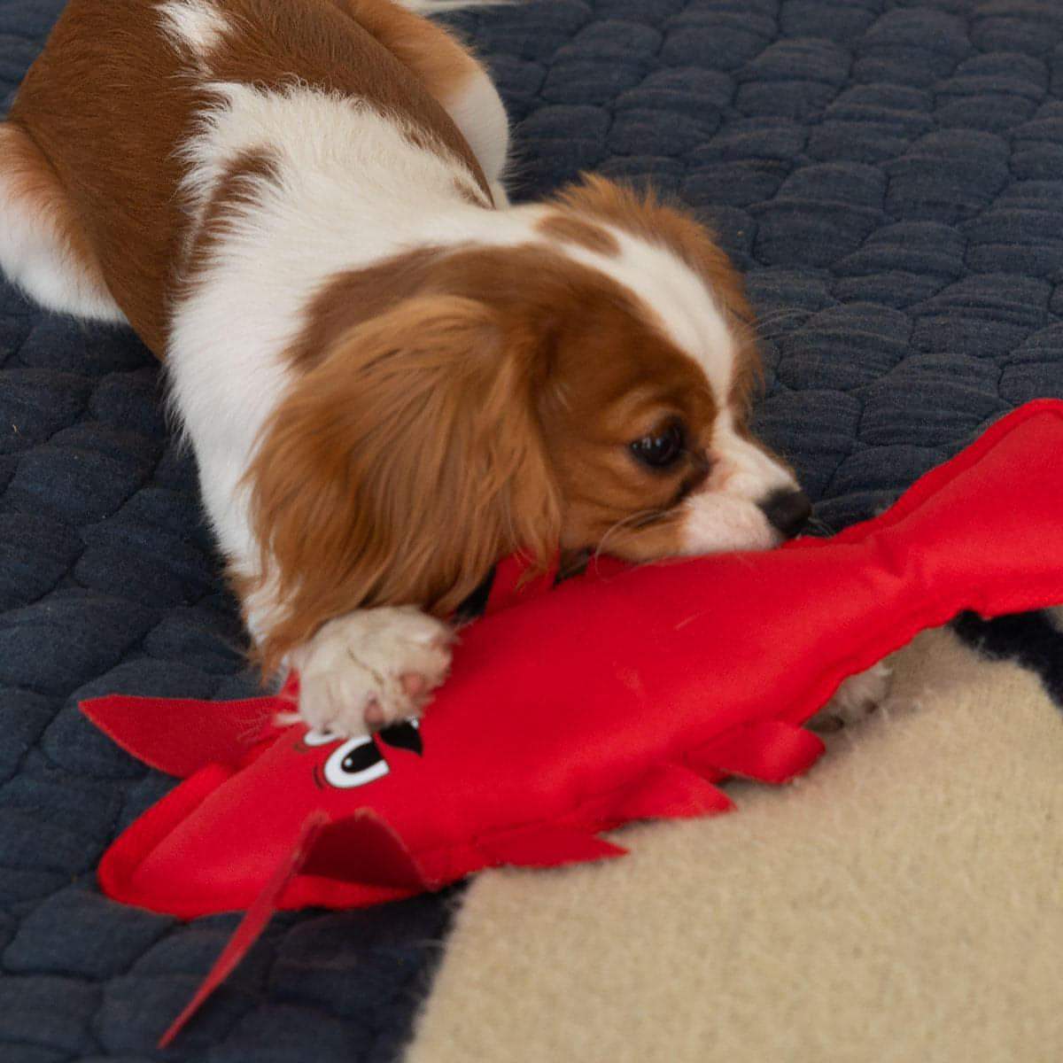 Lobster Squeaky Dog Toy - Image 6