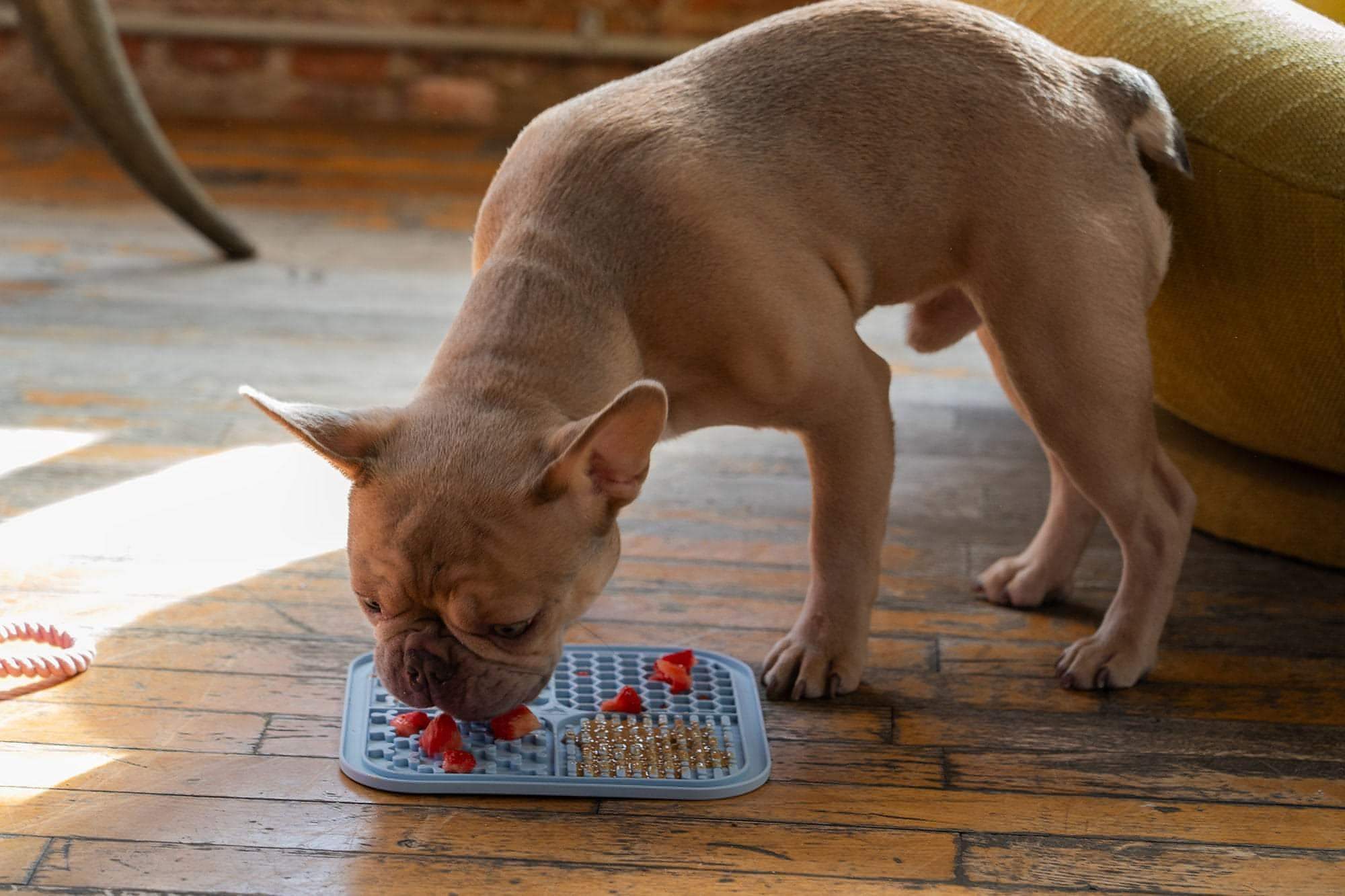 dog lick mat