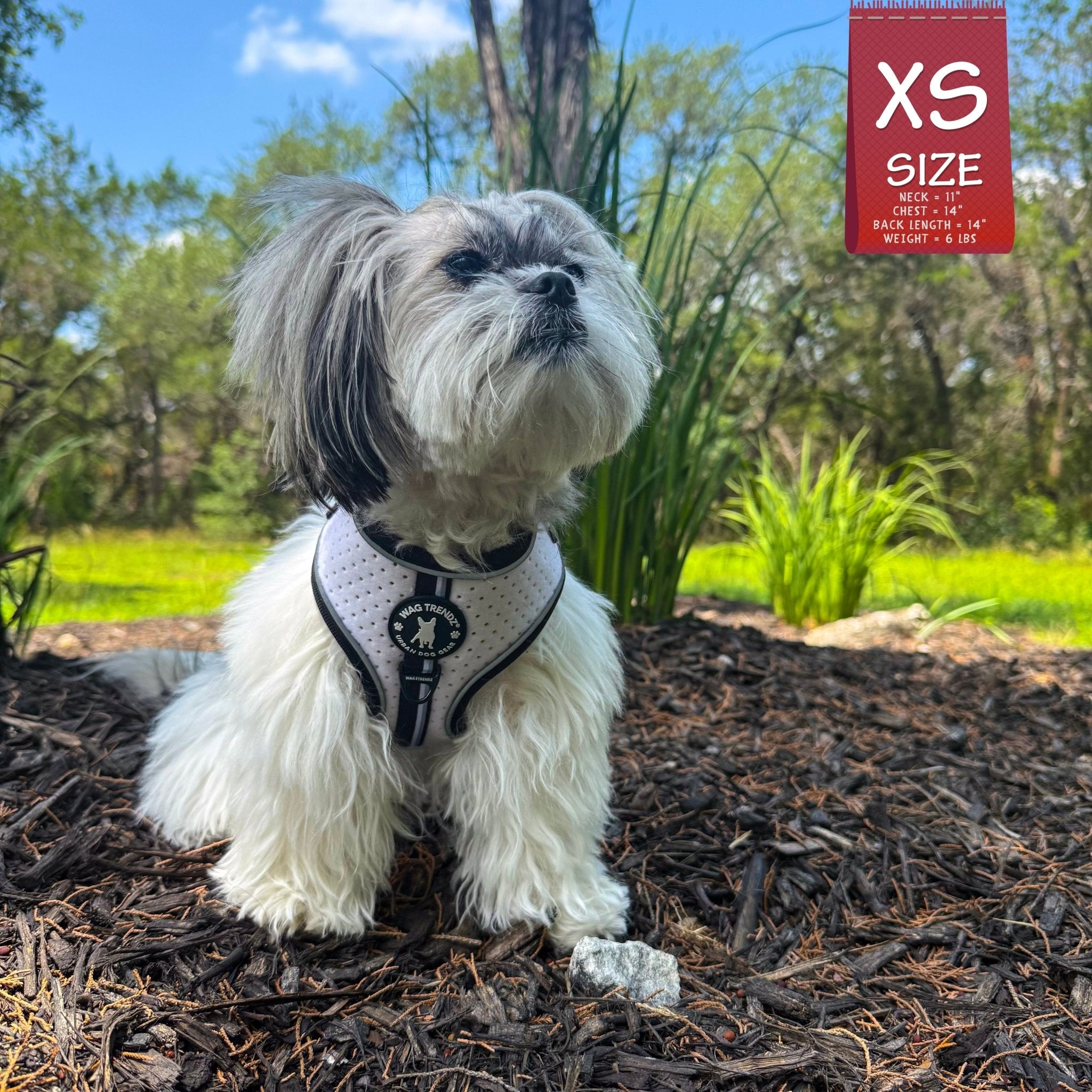 Small dog wearing a NeoCool Sport Dog Harness in an outdoor setting with a 'XS Size' label