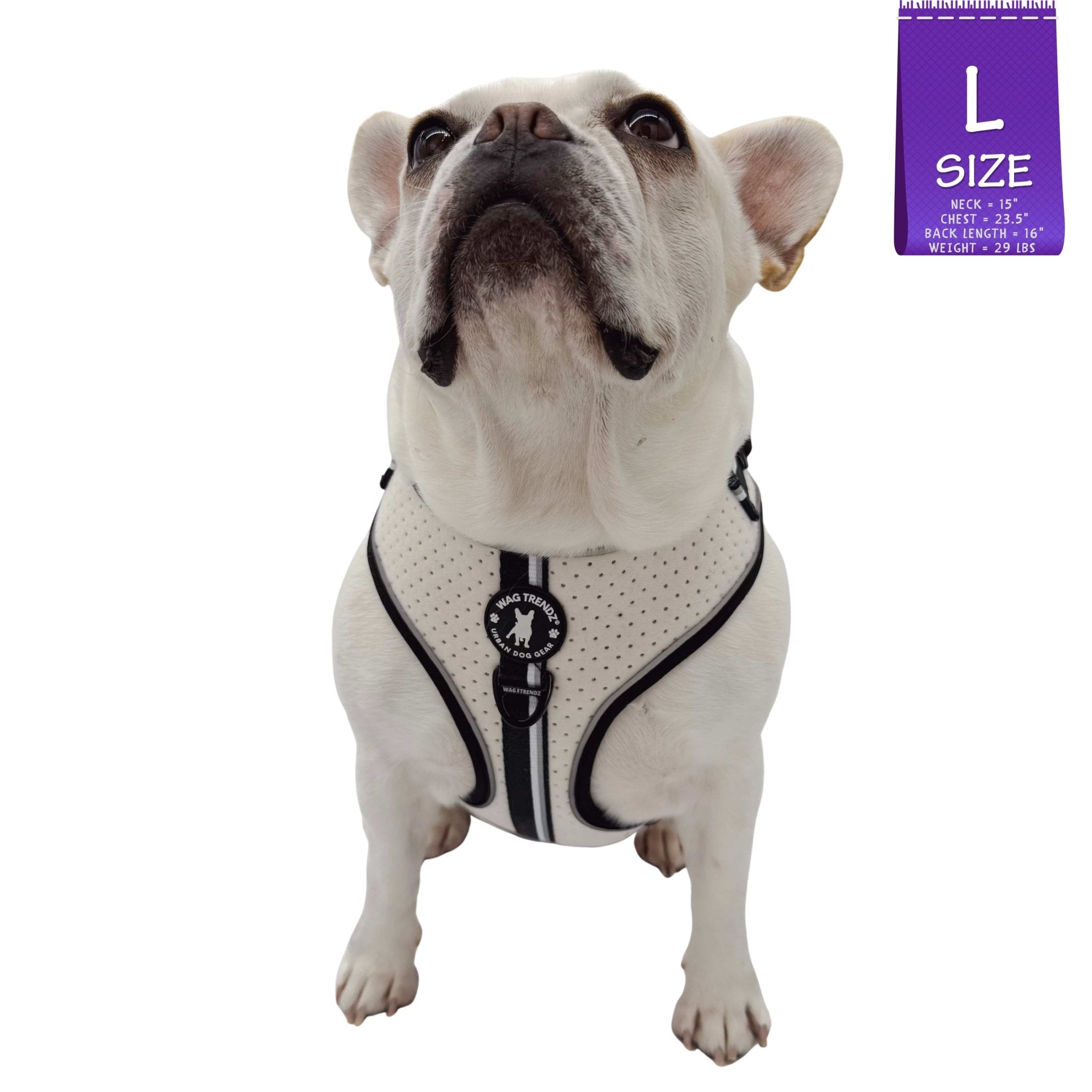French Bulldog wearing NeoCool™ Sport No Pull Dog Harness in White with Black accents with a size label on a white background