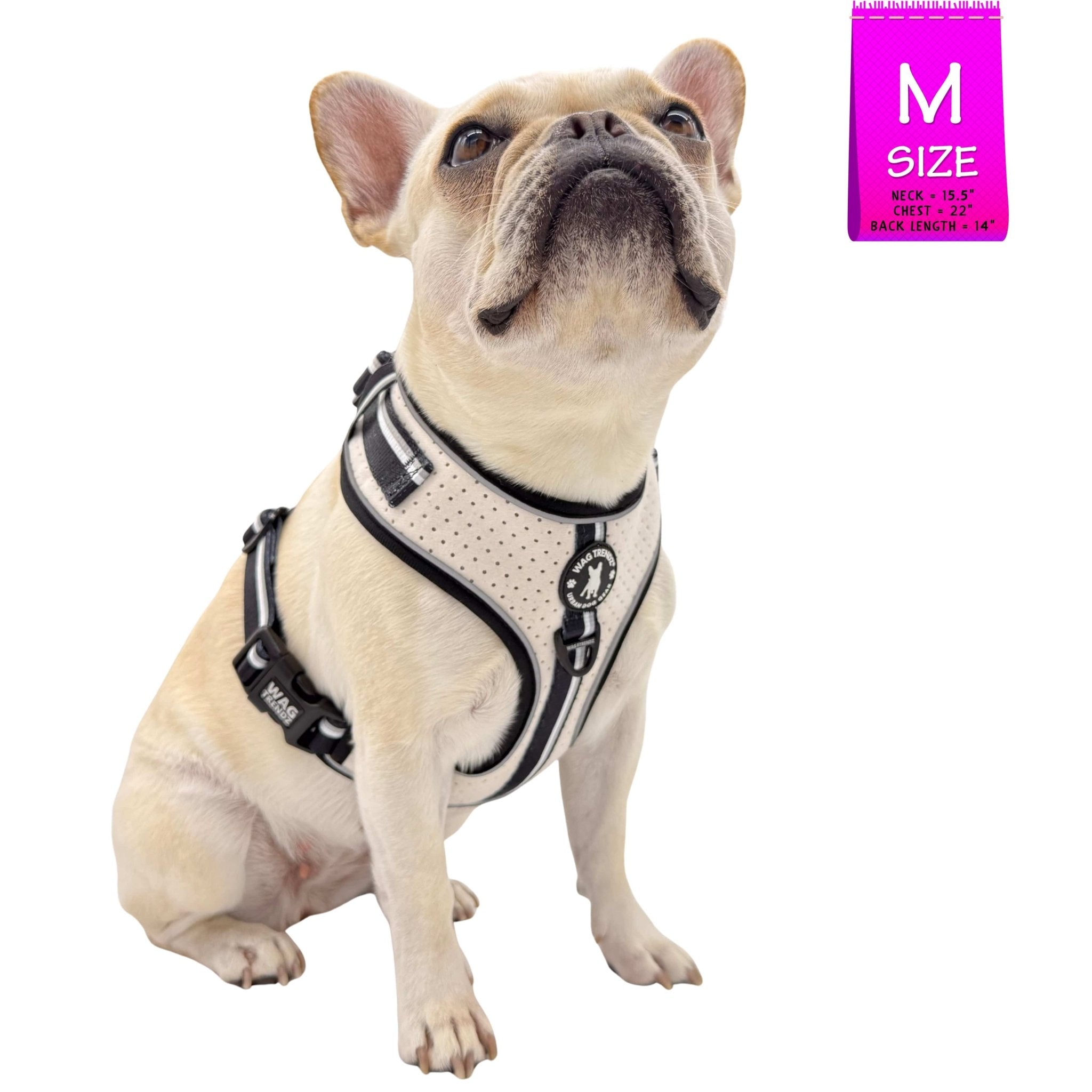 French Bulldog wearing NeoCool™ Sport No Pull Dog Harness in White with Black accents with a size label in the corner against a white background