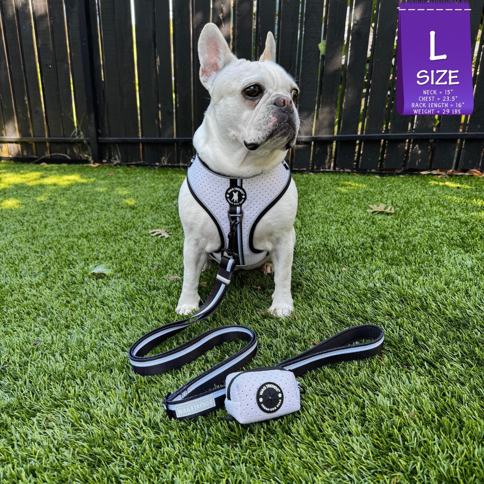 French Bulldog wearing a white dog harness and leash set with poop bag holder attached on grass with a 'L' size label in the corner.