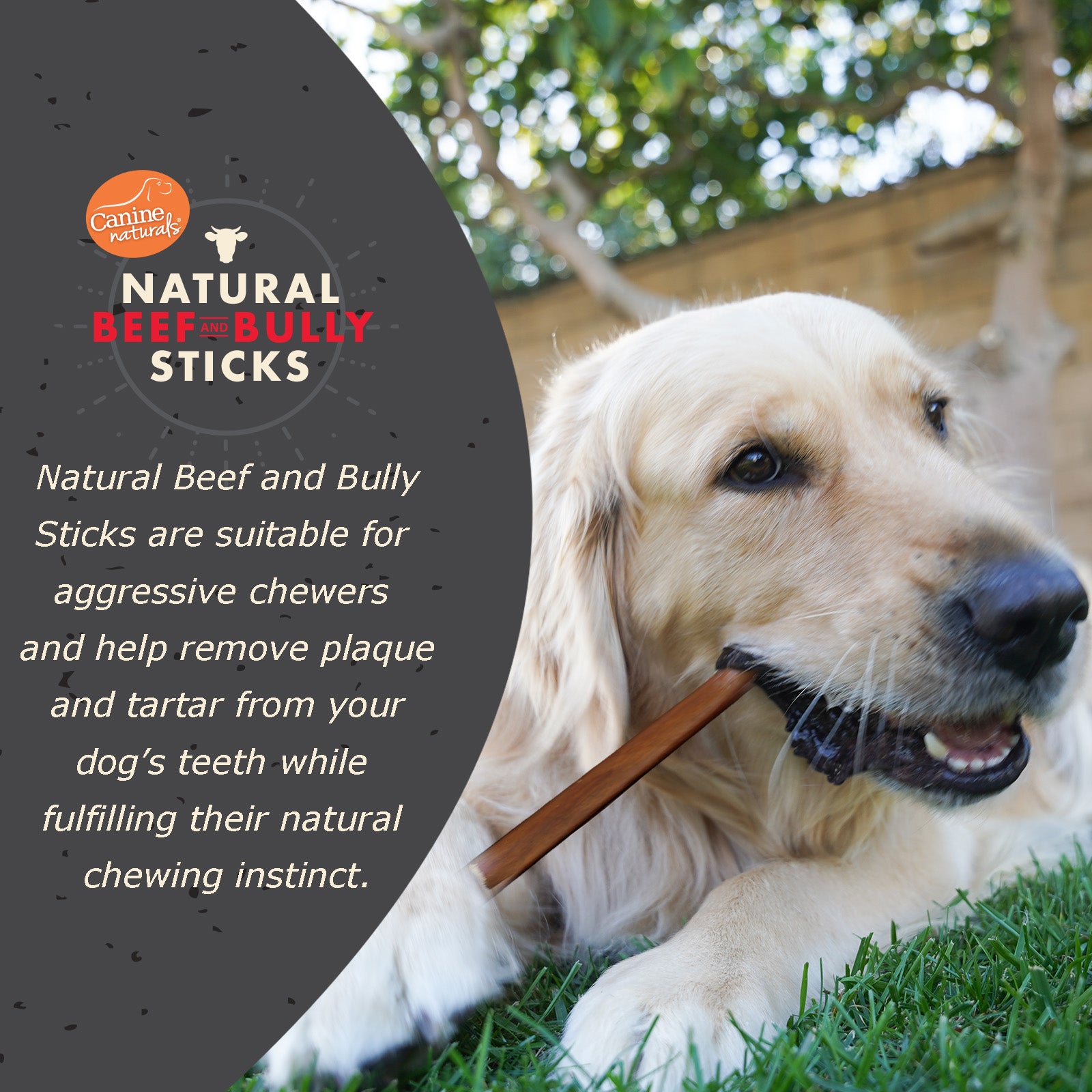 Canine Naturals Bully Chewers - Large 4 ct. - Image 2