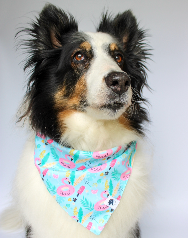 Summer Beach Dog Bandana - Image 4