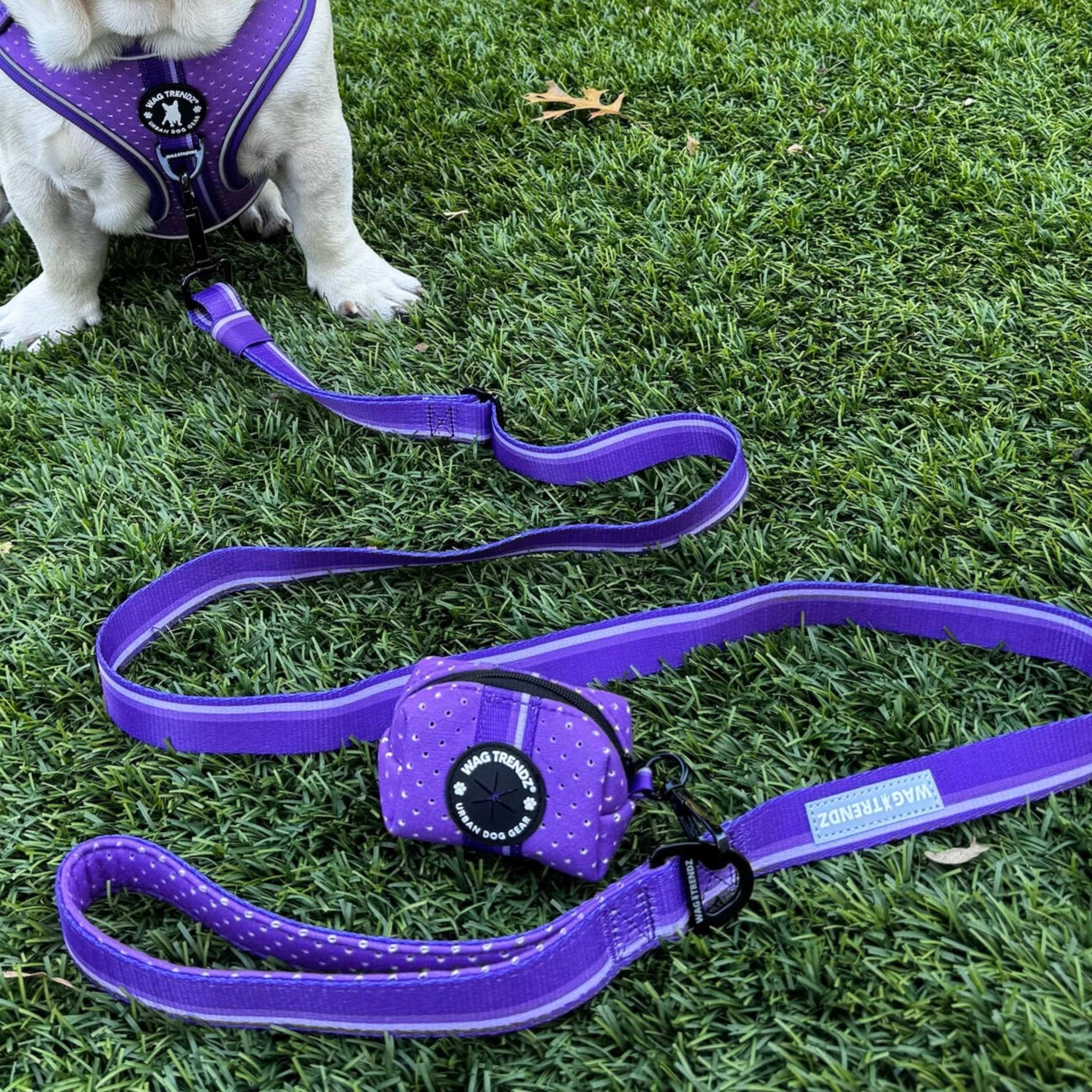 French Bulldog puppy wearing NeoCool™ purple dog harness with matching leash and poop bag holder attached sitting outdoors