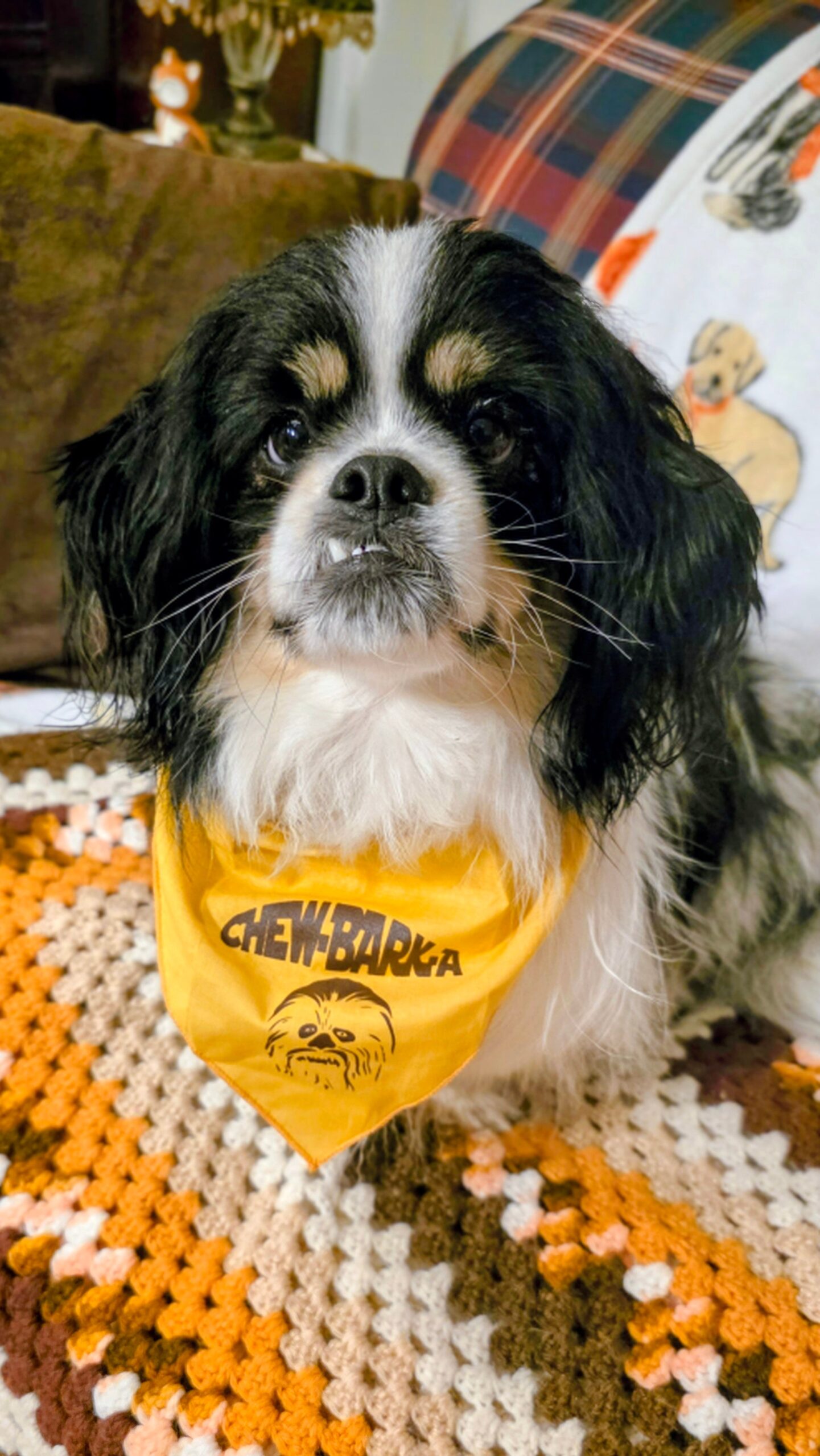 Wholesale Pack - Chew-Bark-A Bandana
