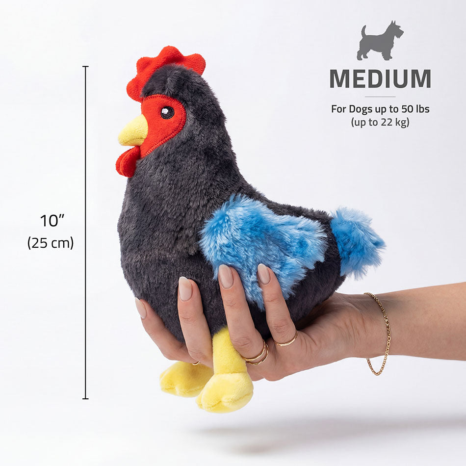 PLUSH HEN CHICKEN - MD - Image 3
