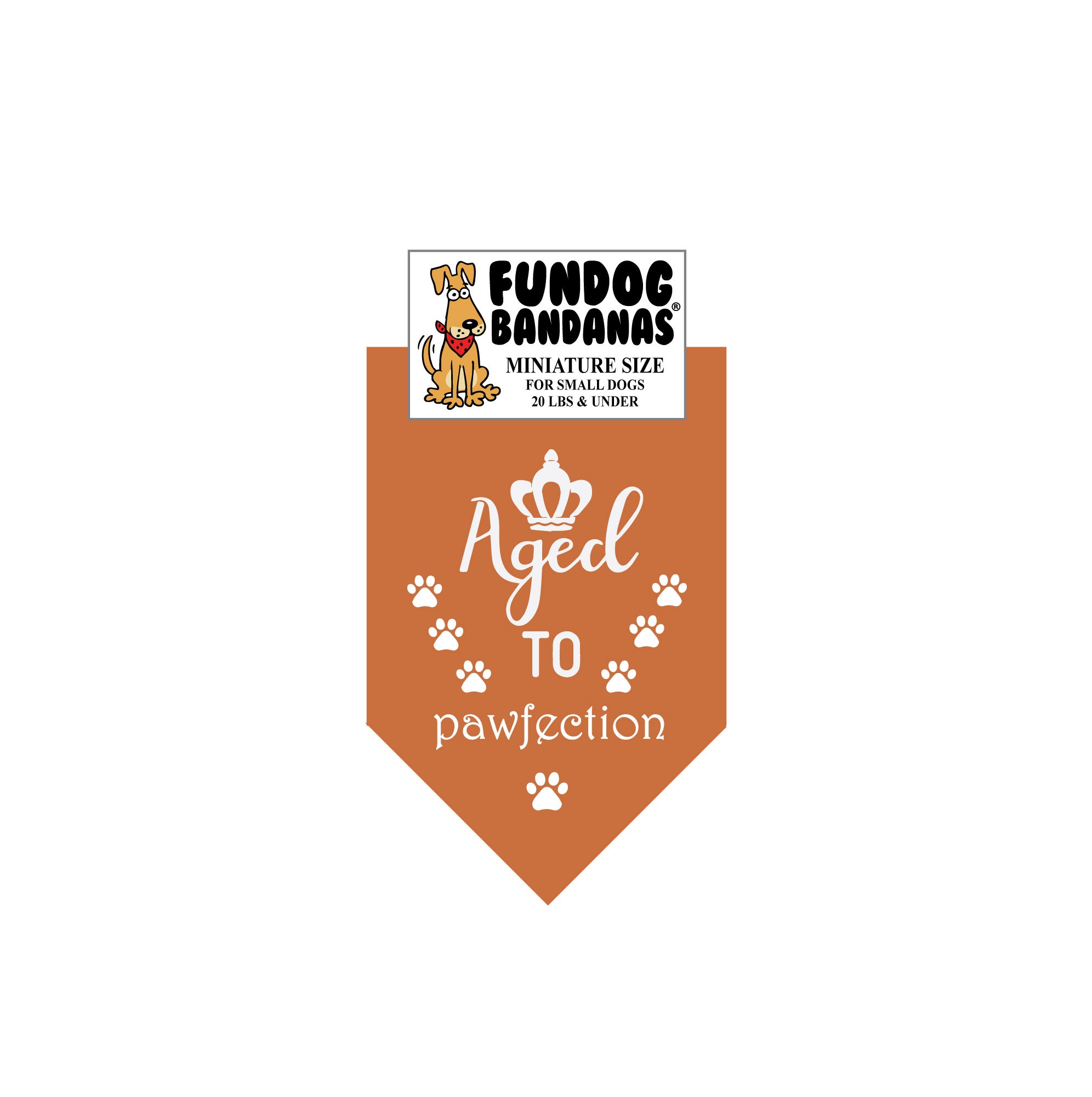 Wholesale Pack - Aged to Pawfection Bandana - Image 9