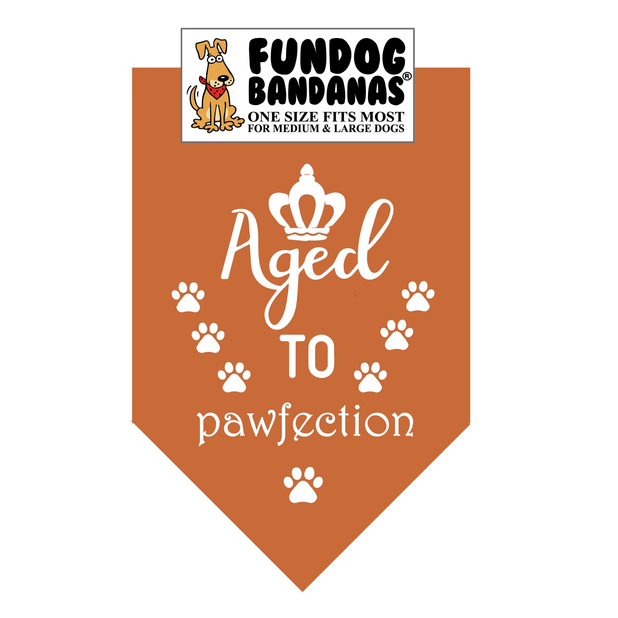 Wholesale Pack - Aged to Pawfection Bandana - Image 10