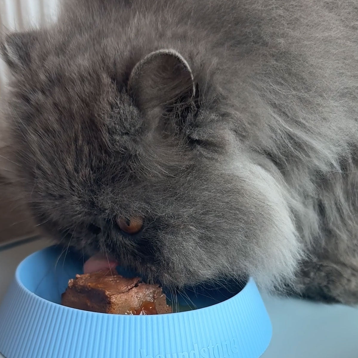 The Original Six Seven Silicone Cat Bowl, Mauve - Image 6