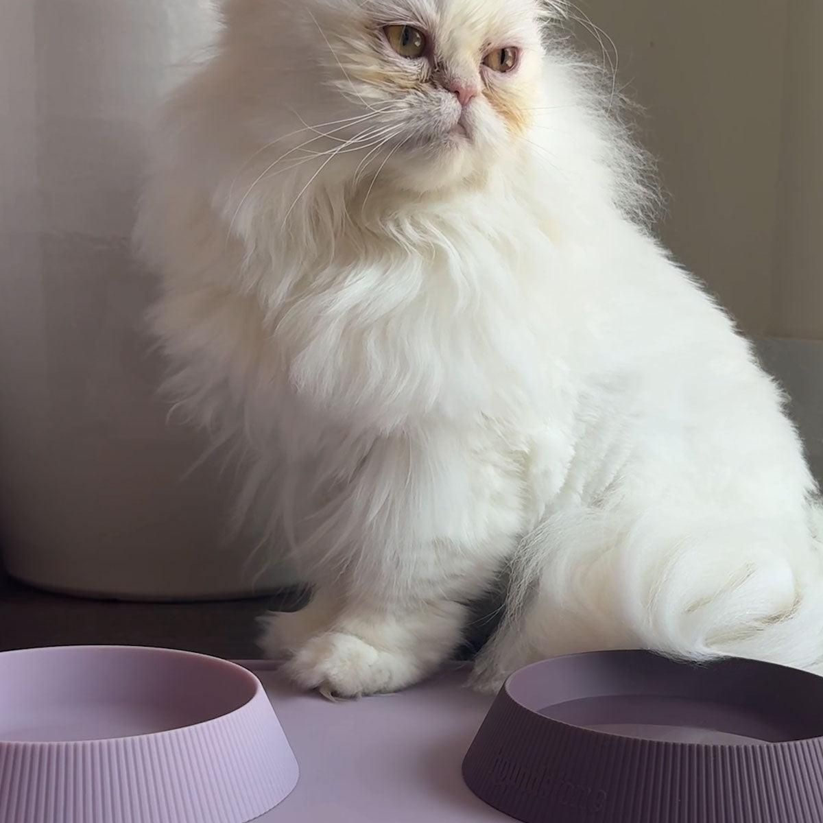 The Original Six Seven Silicone Cat Bowl, Charcoal - Image 7