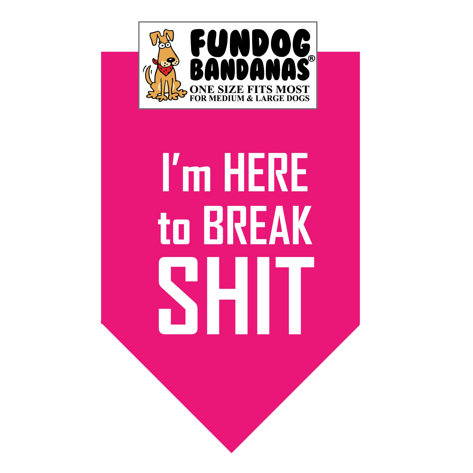 Wholesale Pack - I'm Here to Break Shit Bandana - Image 9
