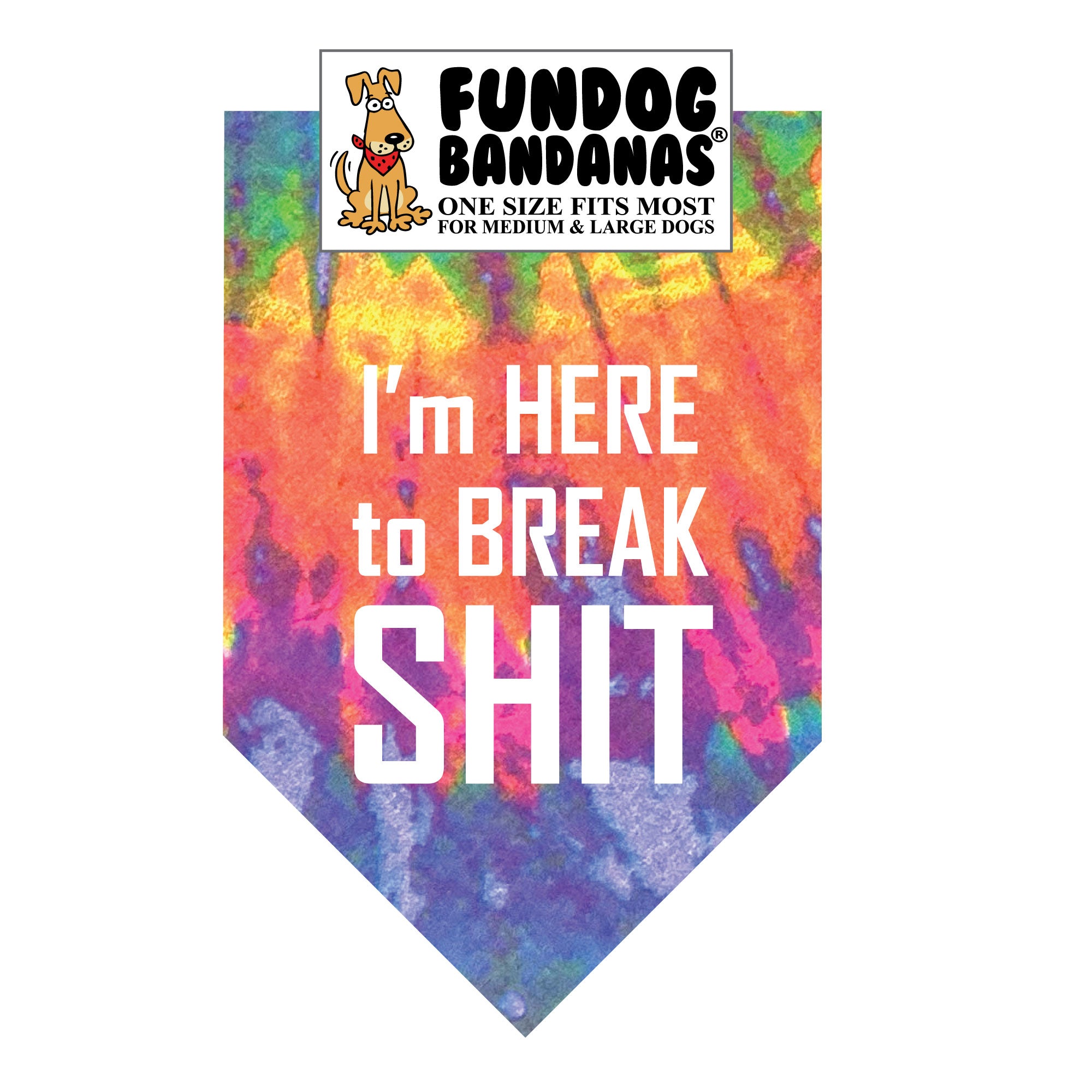 Wholesale Pack - I'm Here to Break Shit Bandana - Image 11