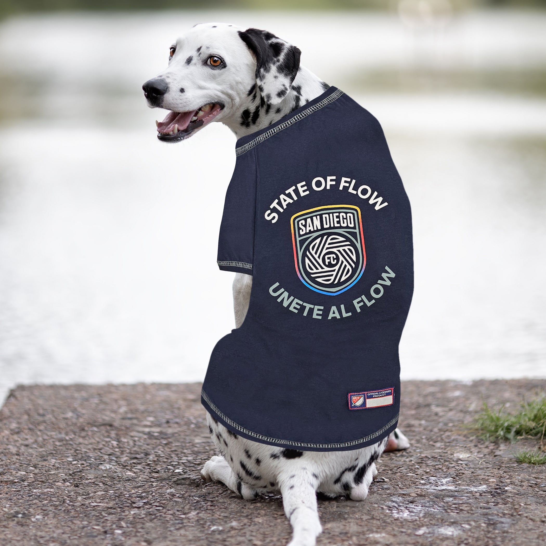 San Diego FC Pet Tee Shirt - Image 3