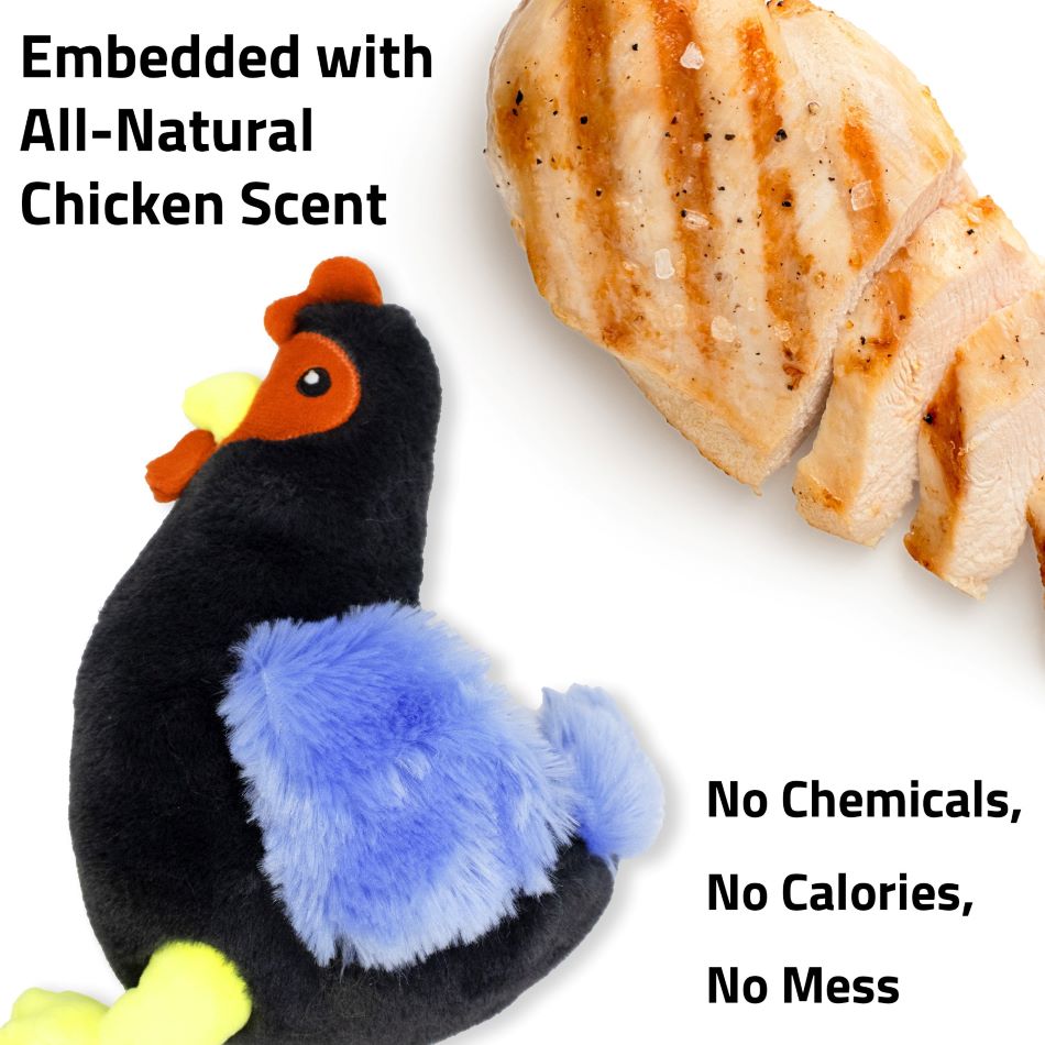 PLUSH HEN CHICKEN - MD - Image 4