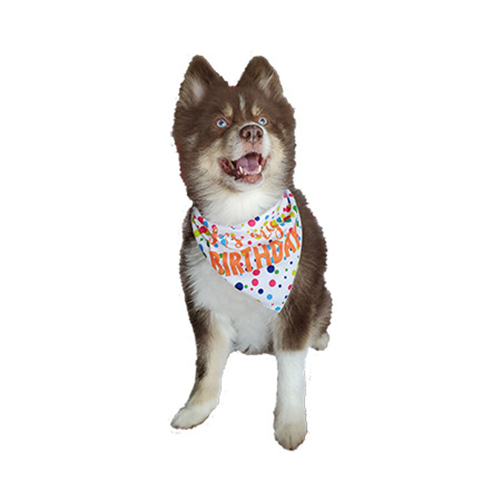 It's My Gotcha Day Tie Bandana - Image 5