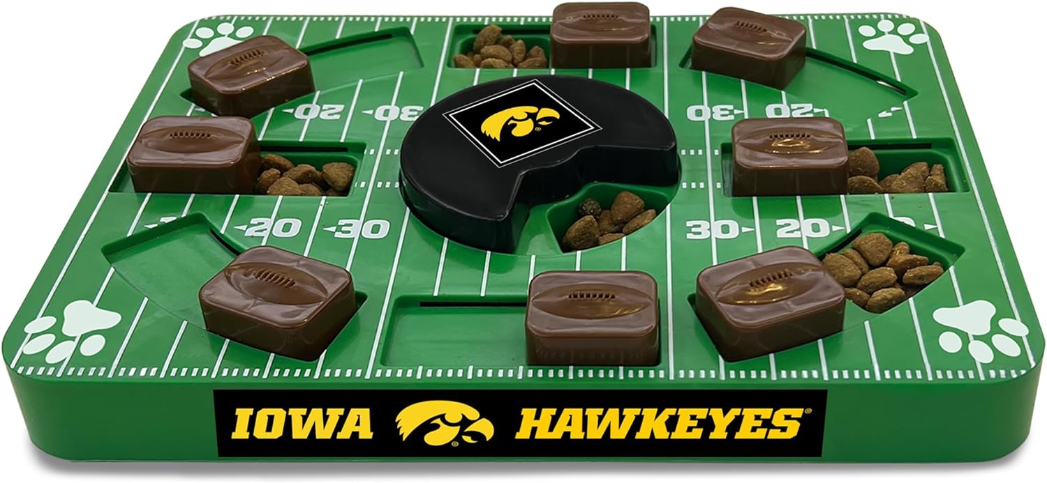 Iowa Puzzle Toy