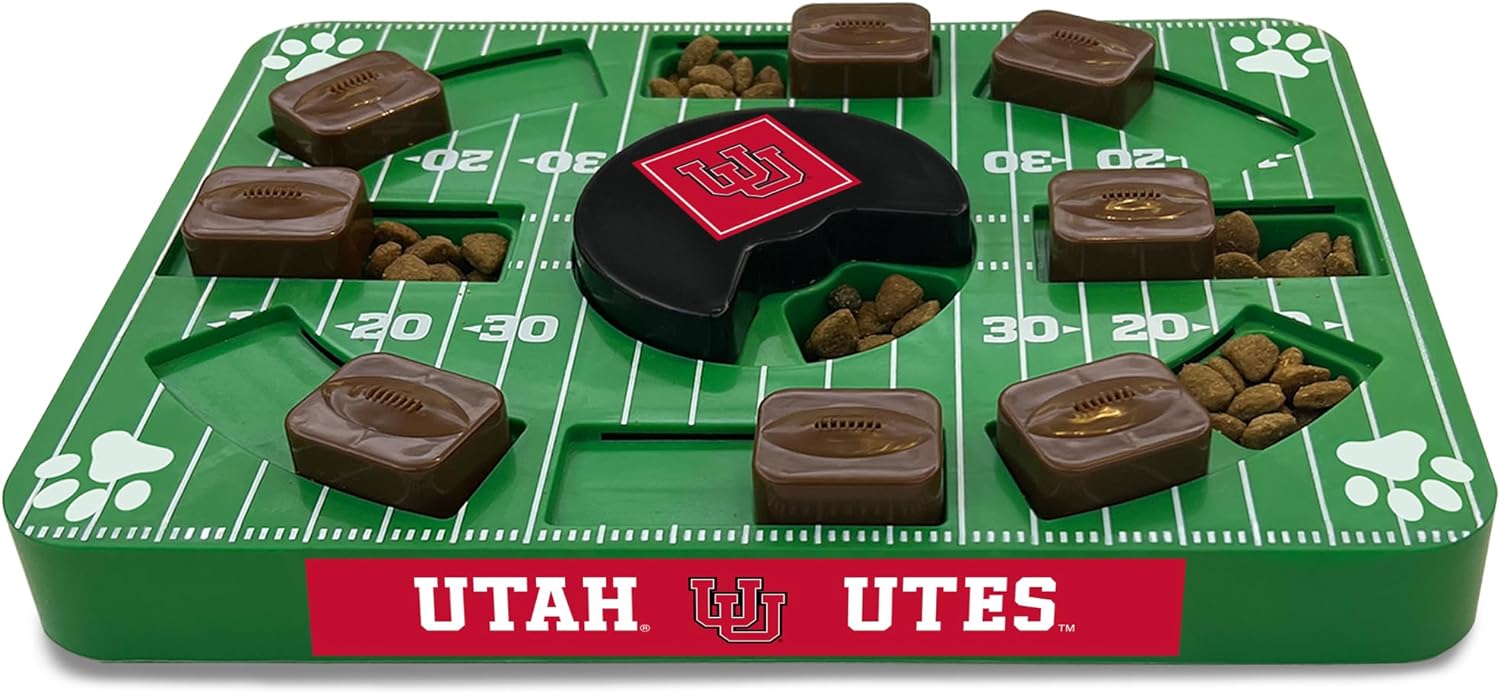 Utah Puzzle Toy
