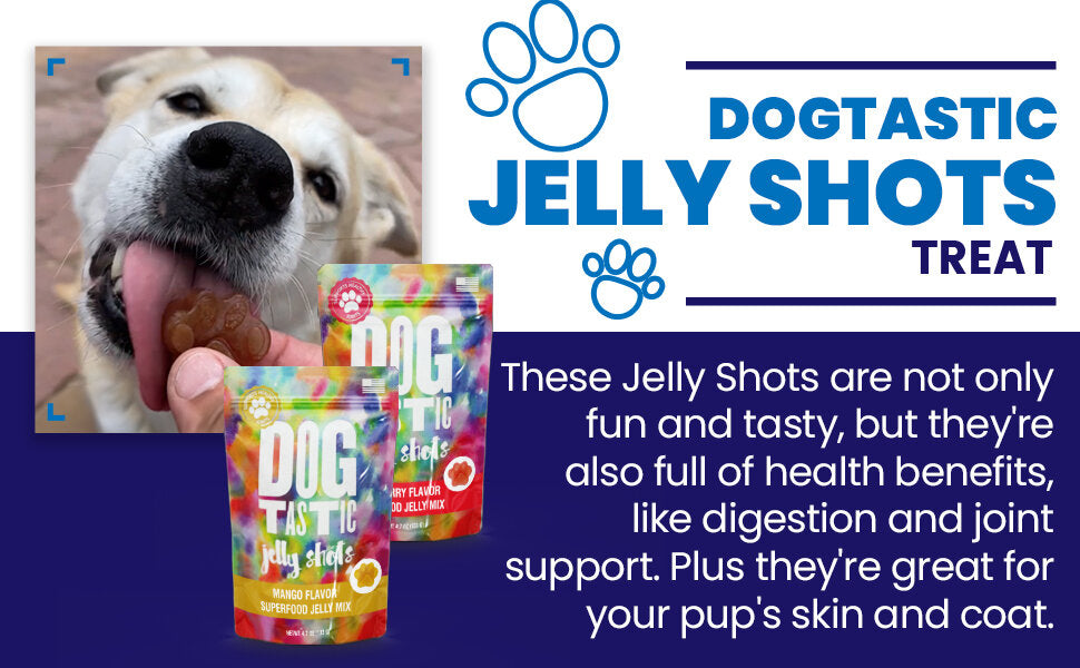 SodaPup Dogtastic Jelly Shots Silicone Mold Paw Shape