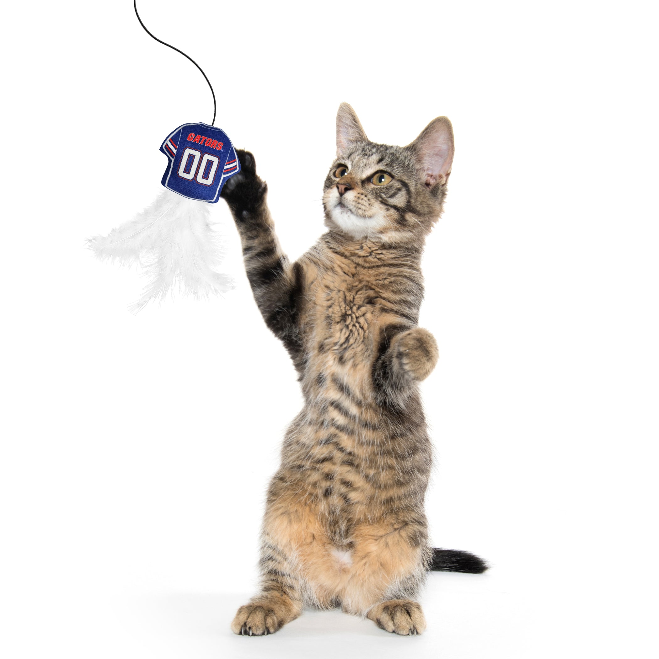 FLORIDA GATORS TEAM JERSEY WAND WITH CAT NIP - Image 2