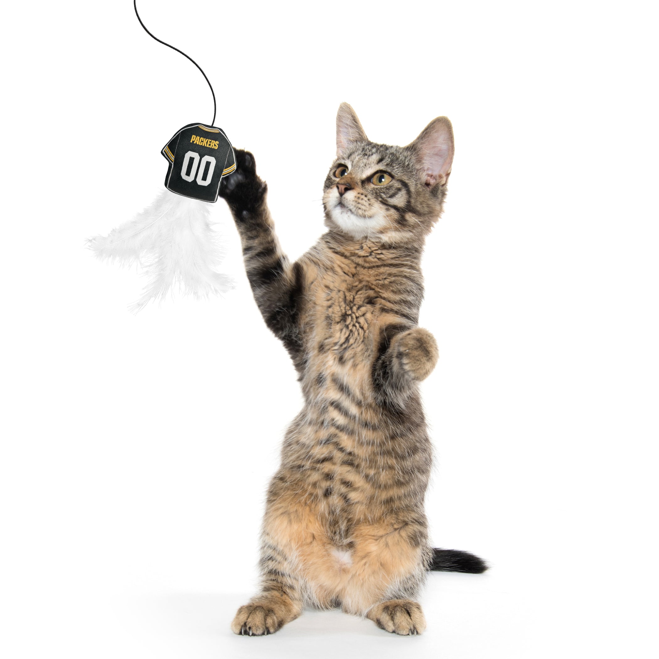 GREEN BAY PACKERS TEAM JERSEY WAND WITH CAT NIP - Image 2