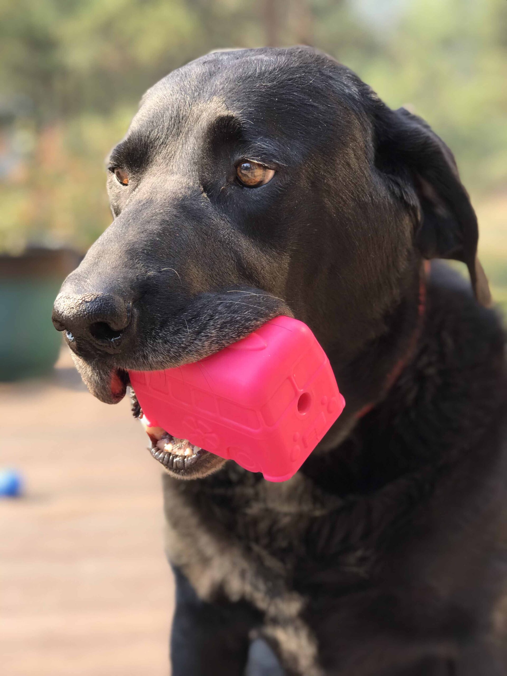 SodaPup Surf's Up! Retro Van Dog Toy Durable Chew Large Dogs | USA Made