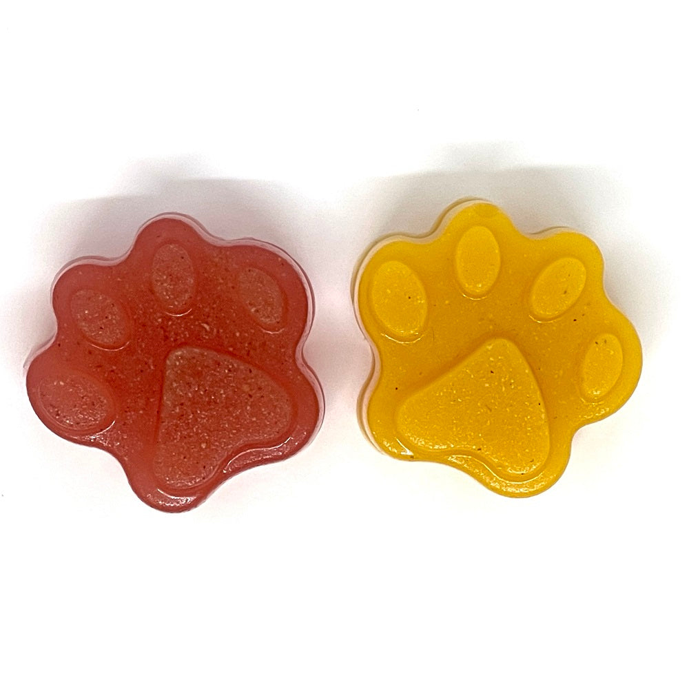 SodaPup Dogtastic Jelly Shots Silicone Mold Paw Shape