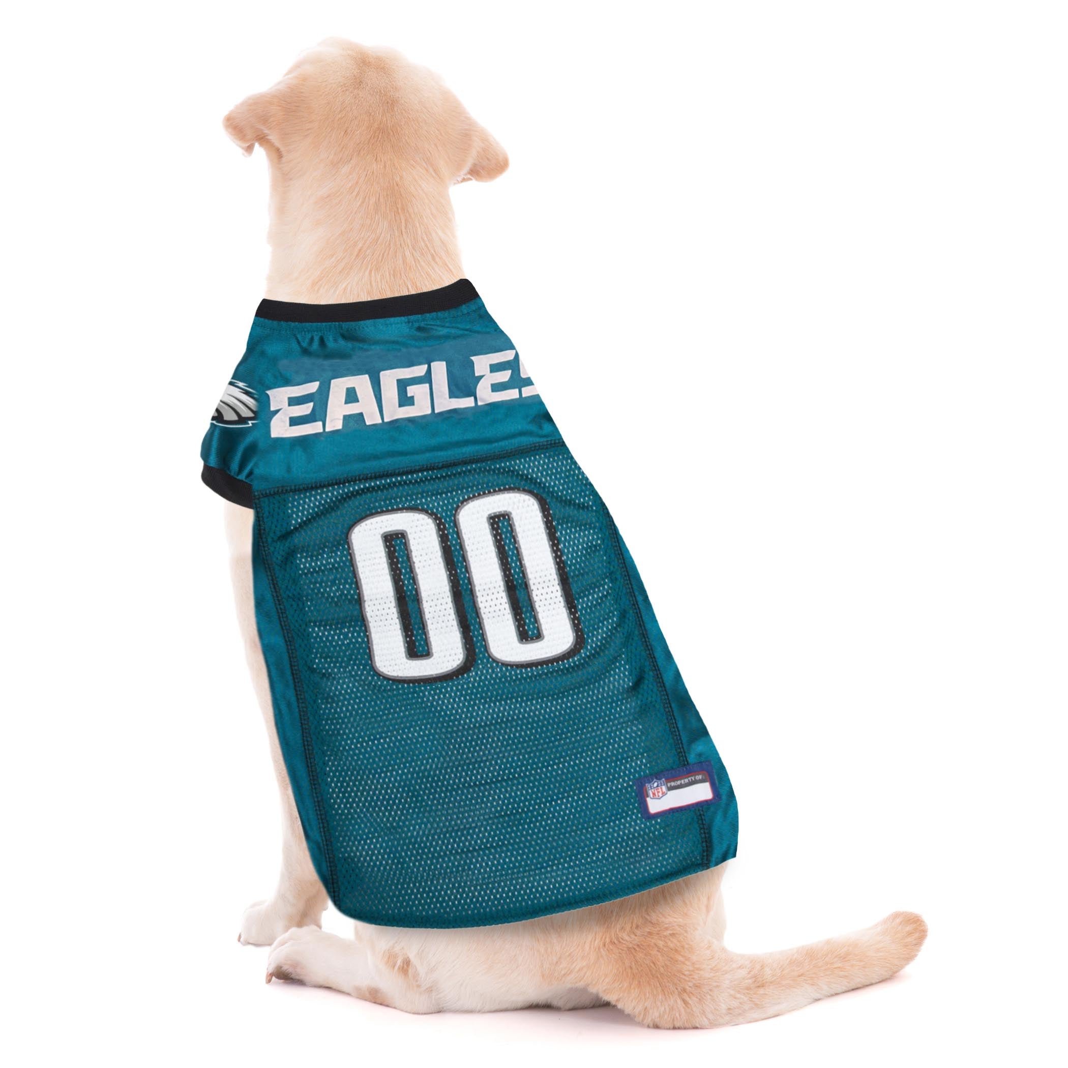 Philadelphia Eagles Pet Striped Jersey - Image 2