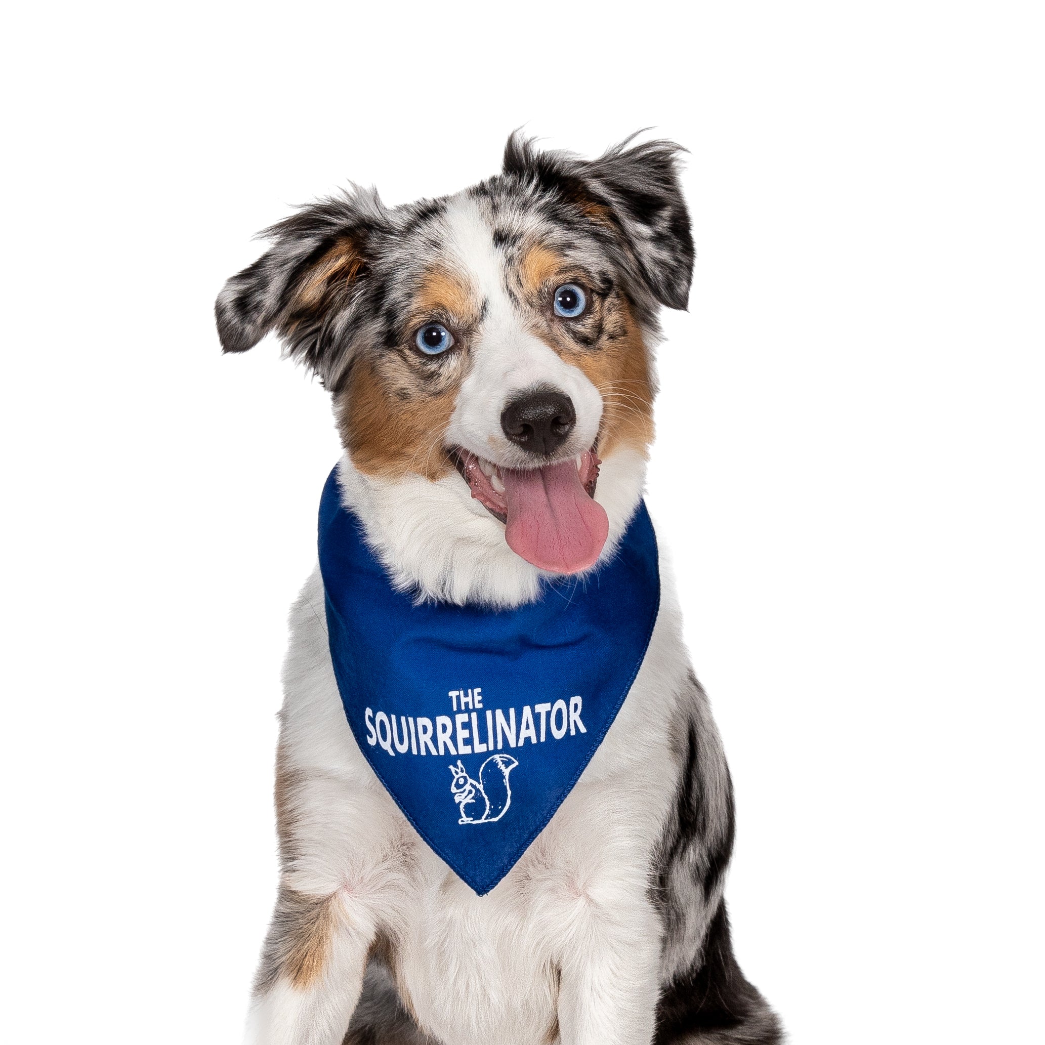 The Squirrelinator Bandana - Image 5