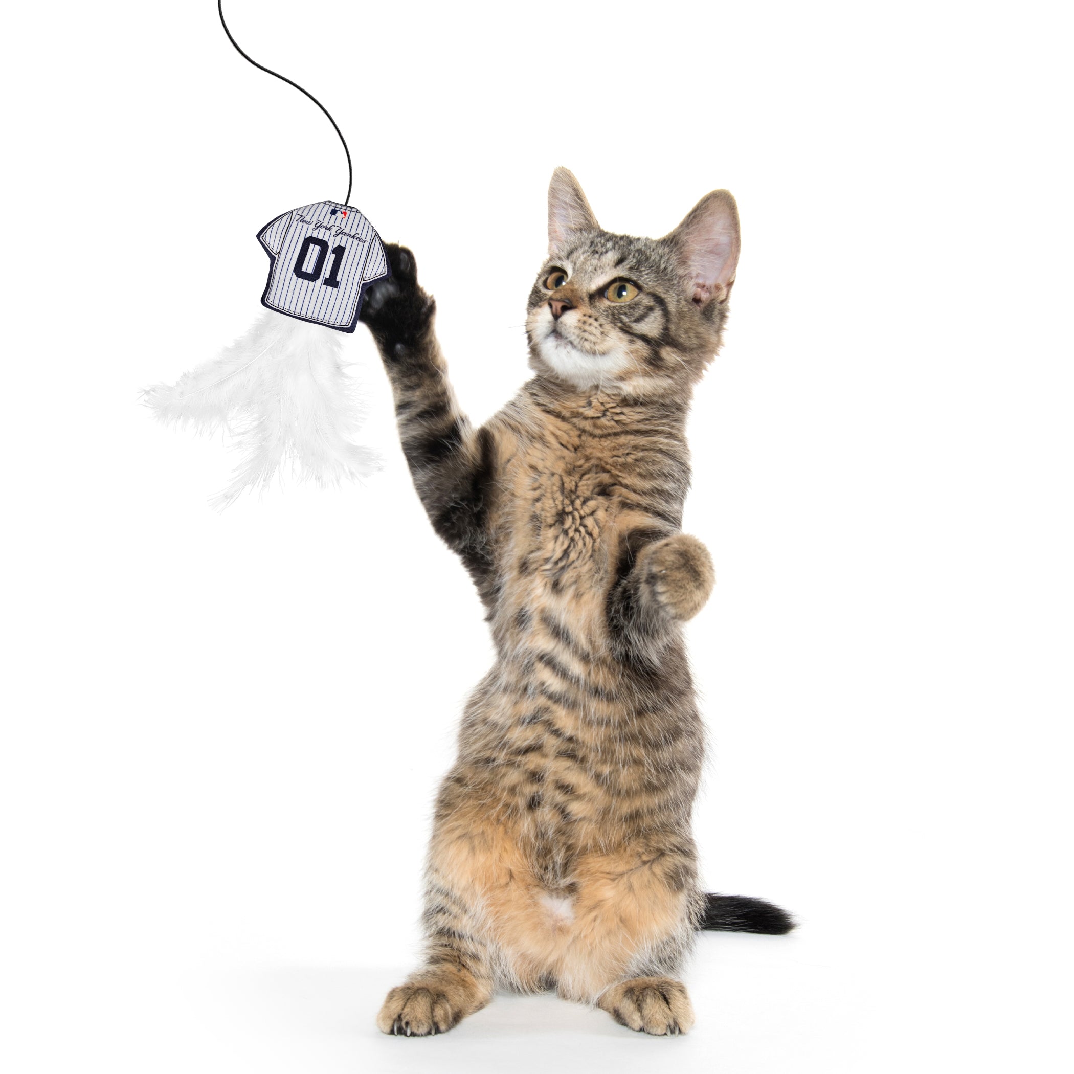 NEW YORK YANKEES TEAM JERSEY WAND WITH CAT NIP - Image 2