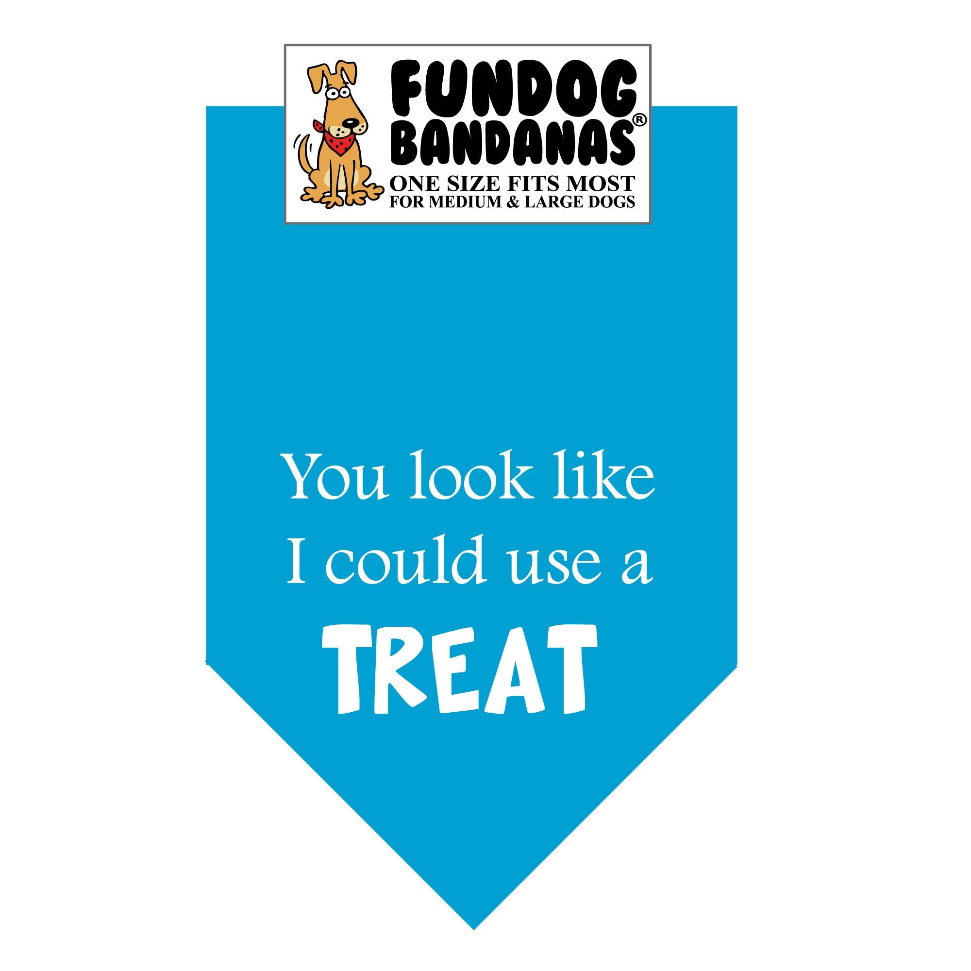 Turquoise one size fits most dog bandana with You look like I could use a treat in white ink.
