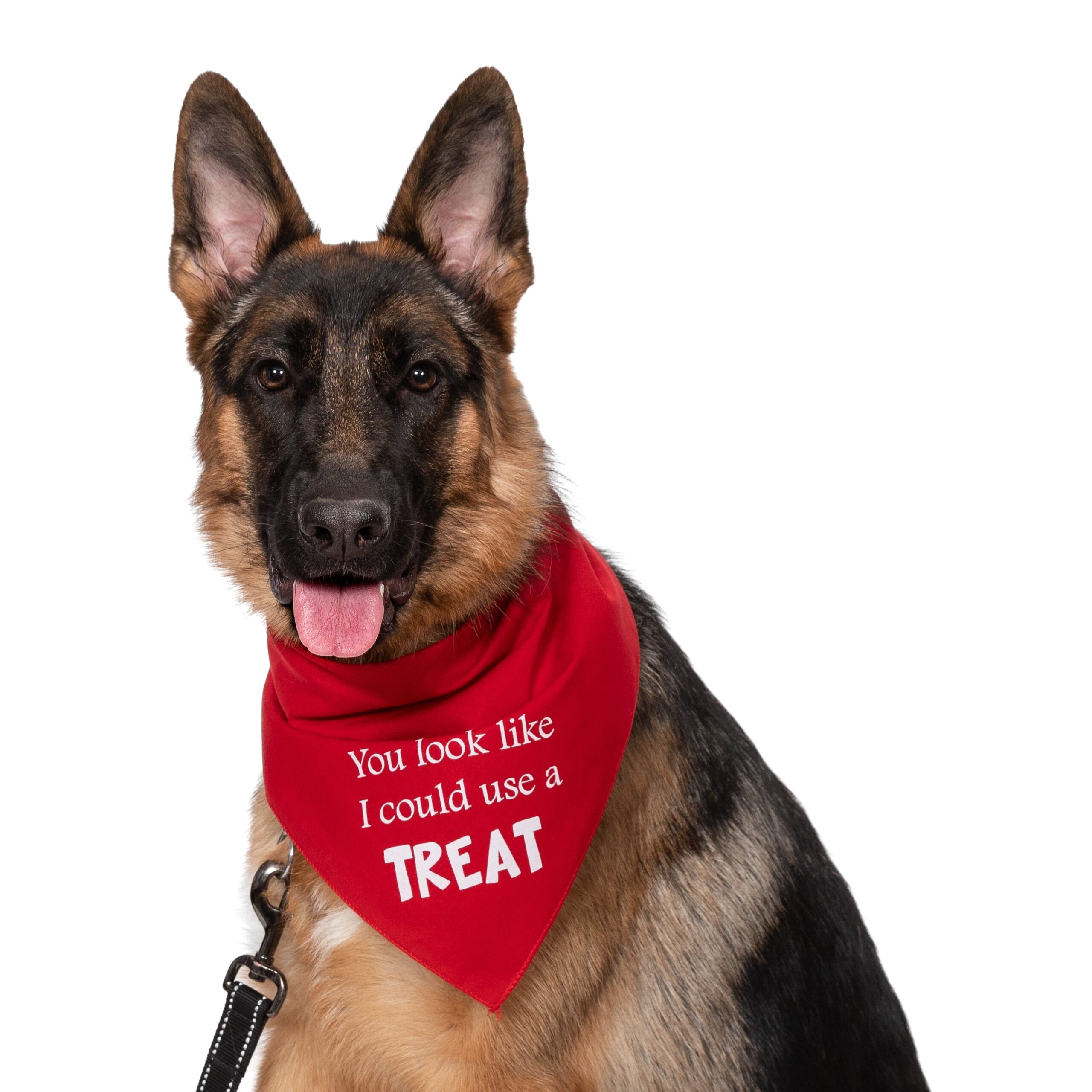 You Look Like I could Use a Treat Bandana - Image 6