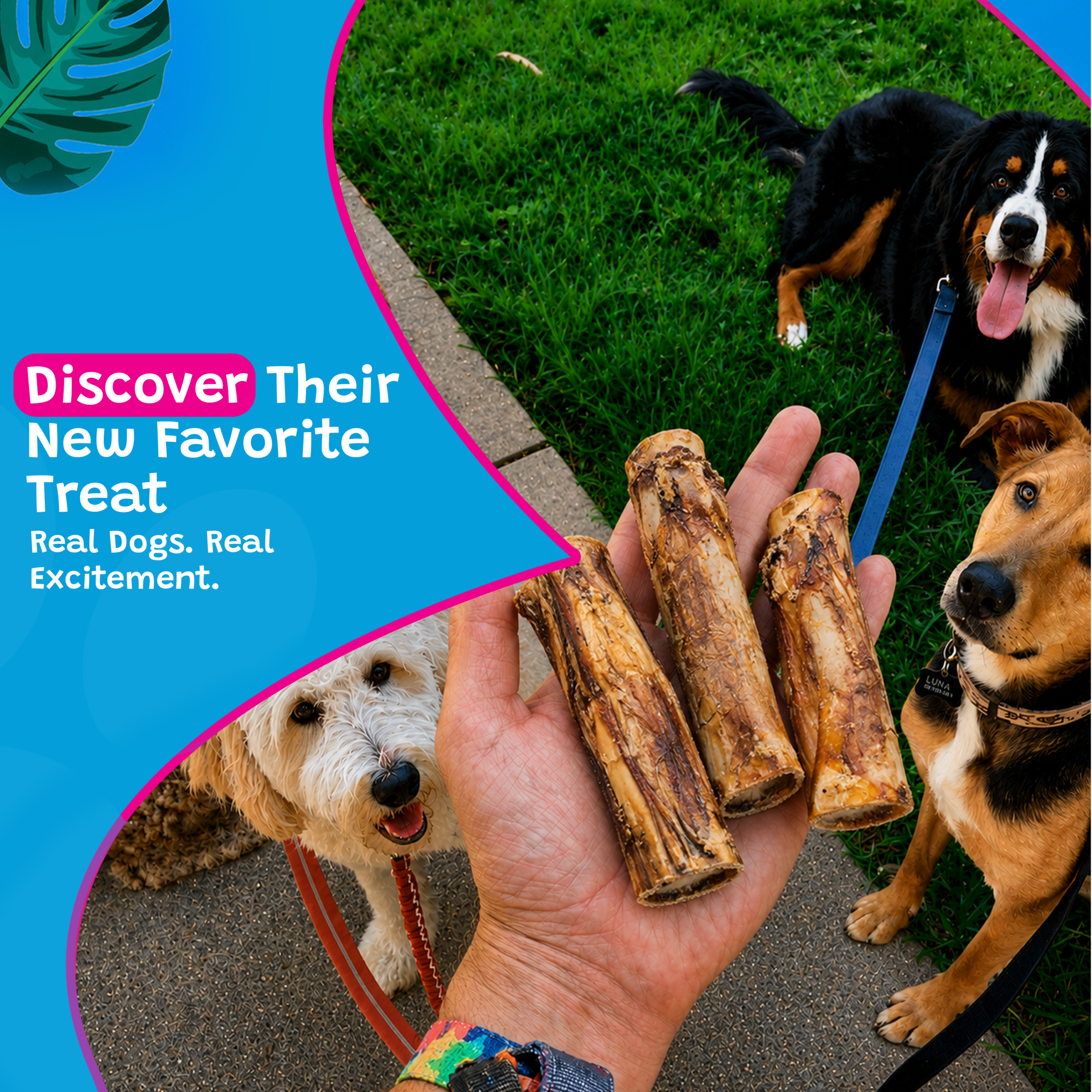 Woof Island Marrow Bone Dog Chew, Long-Lasting Natural Beef Bone for Aggressive Chewers 6 Inch - Image 7