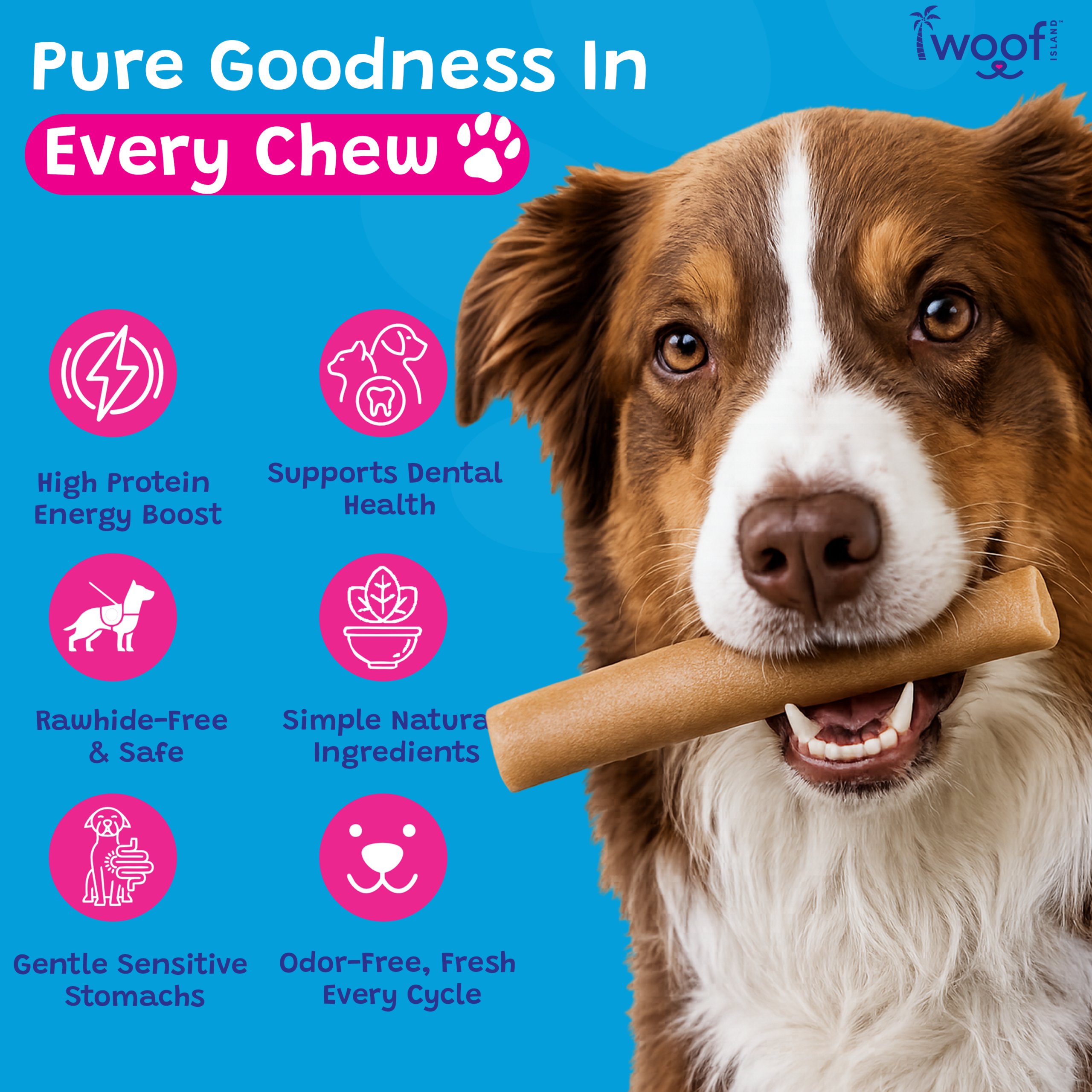 Woof Island Himalayan Yak Cheese Dog Chew, 100% Lactose-Free, Grain-Free & Long-Lasting Hard Cheese Chew 5–6 oz - Image 5