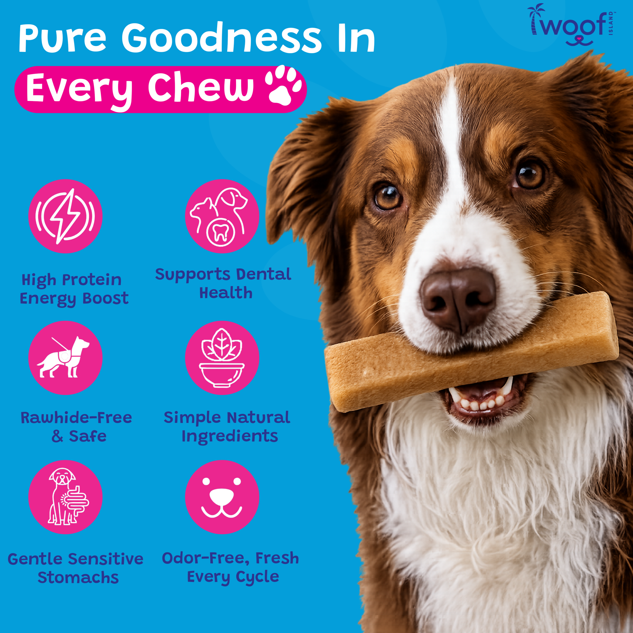 Woof Island Himalayan Yak Cheese Dog Chew, 100% Lactose-Free, Grain-Free & Long-Lasting Hard Cheese Chew 3–4 oz - Image 5