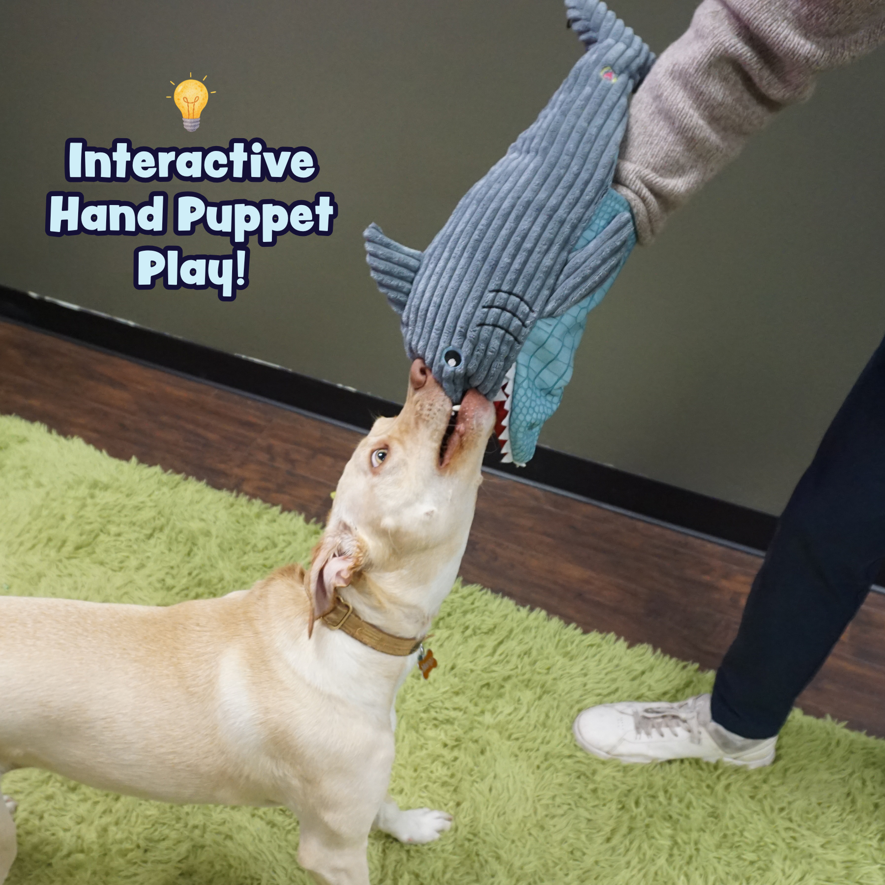 HuggleSnuffles™ Chomp & Chase — Finn Shark Puppet + Ruff-Tex® Beach Ball - Image 9
