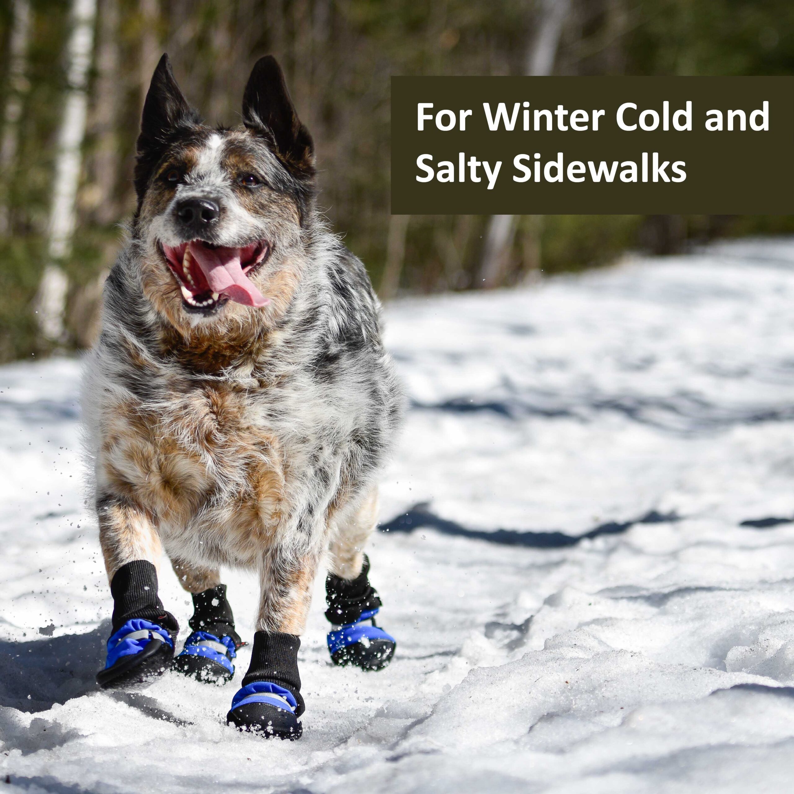 Original Fleece-Lined Muttluks (set of 4) - Image 15