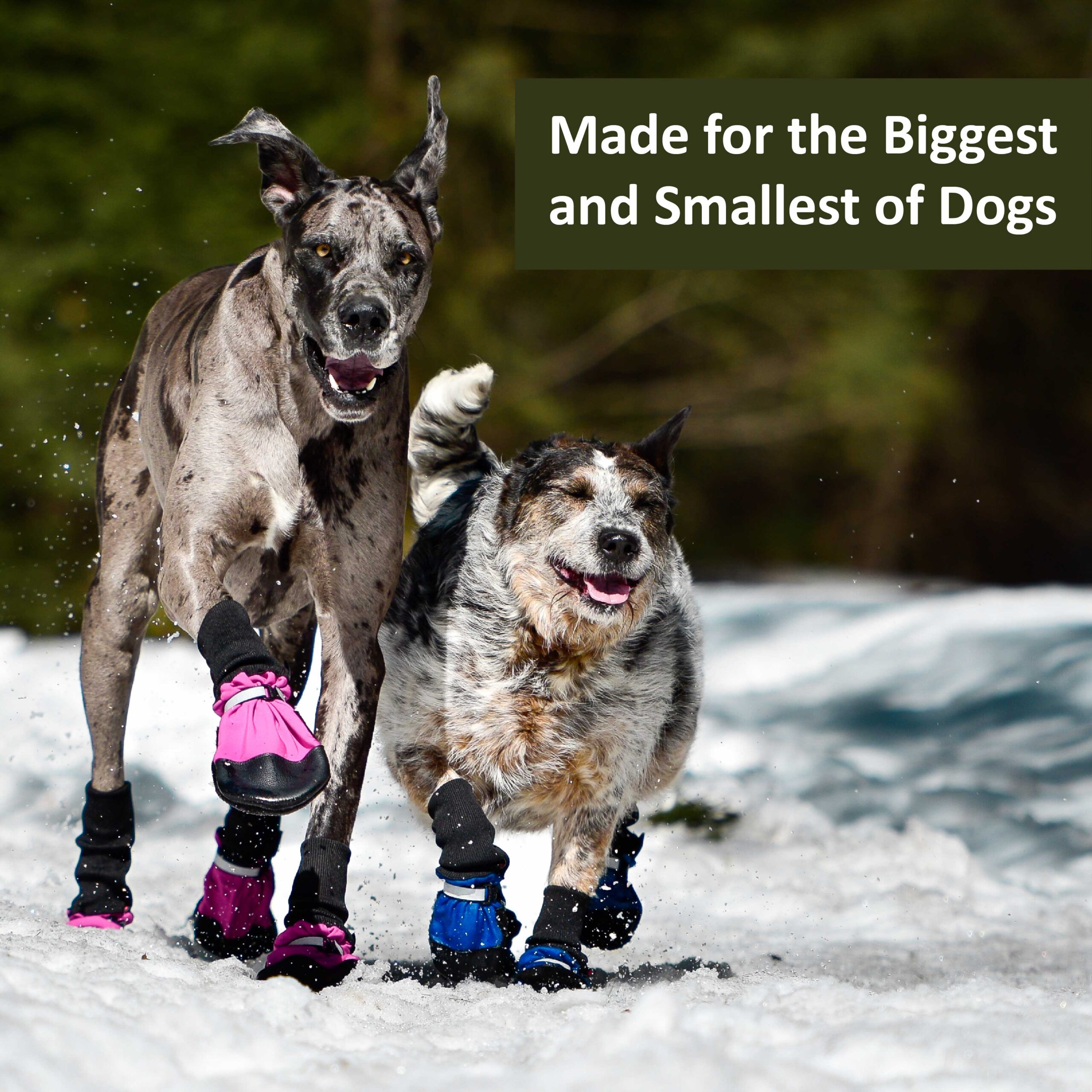 Original Fleece-Lined Muttluks (set of 4) - Image 16