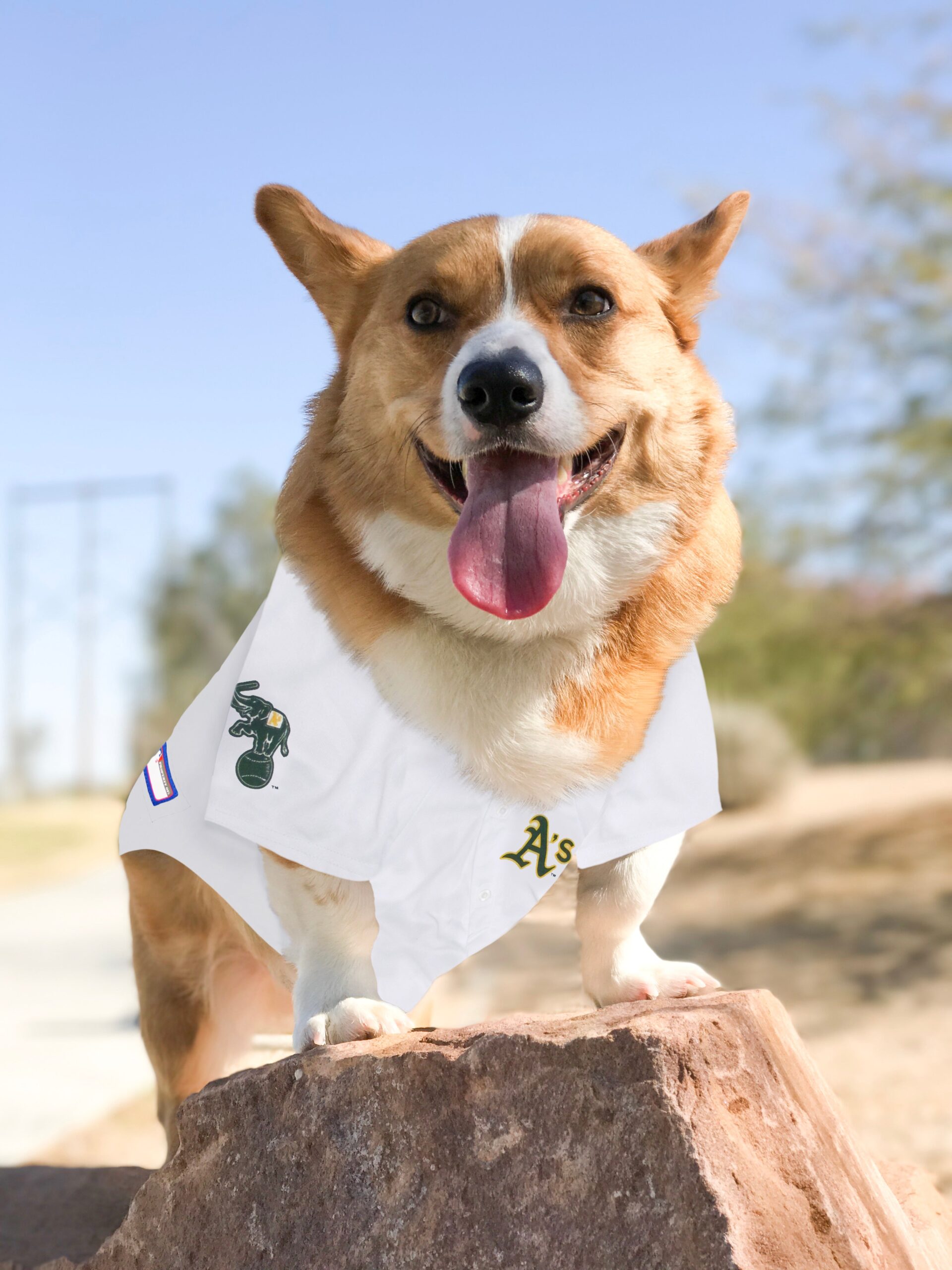 Oakland Athletics Pet Jersey - Image 2