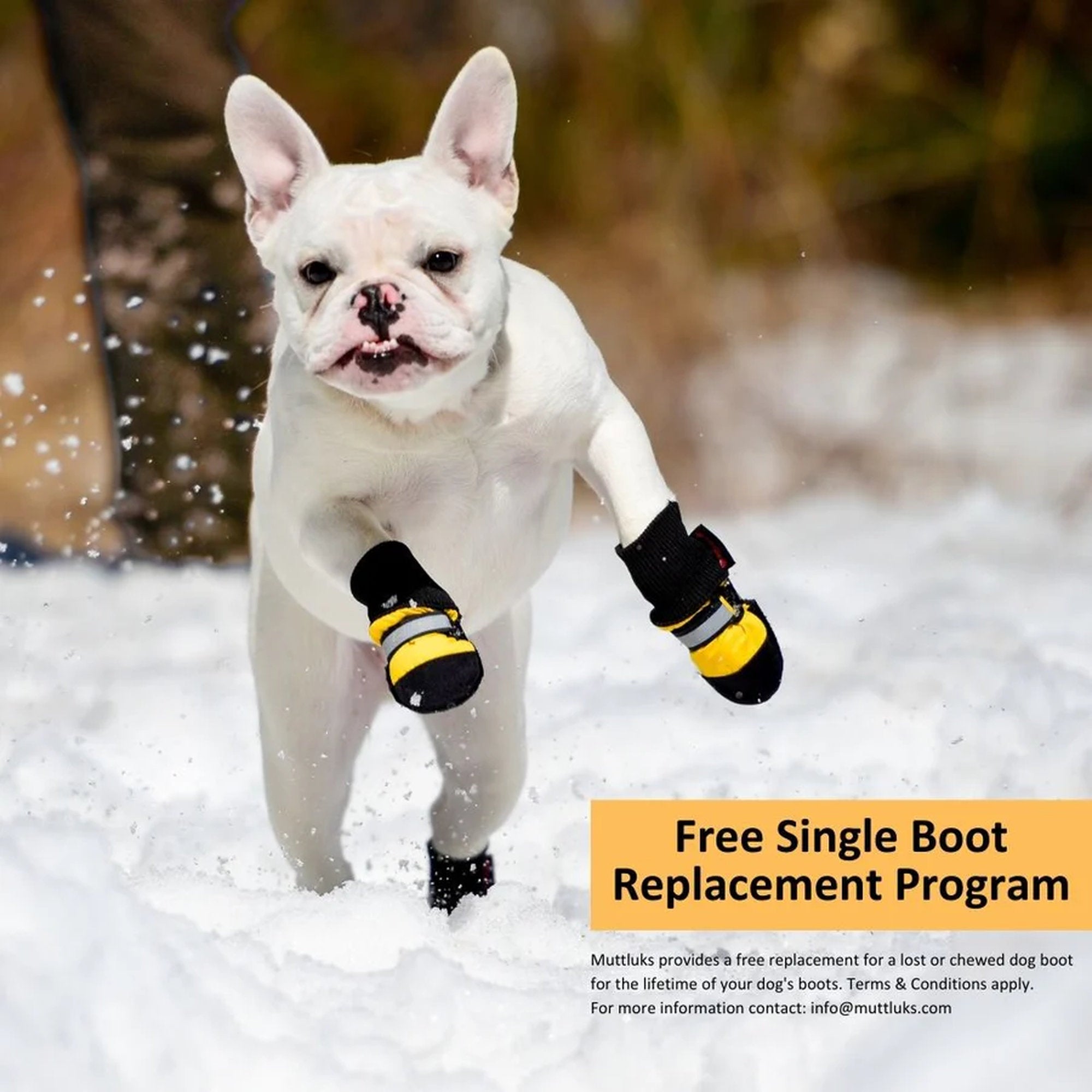 Original Fleece-Lined Muttluks (set of 4) - Image 17