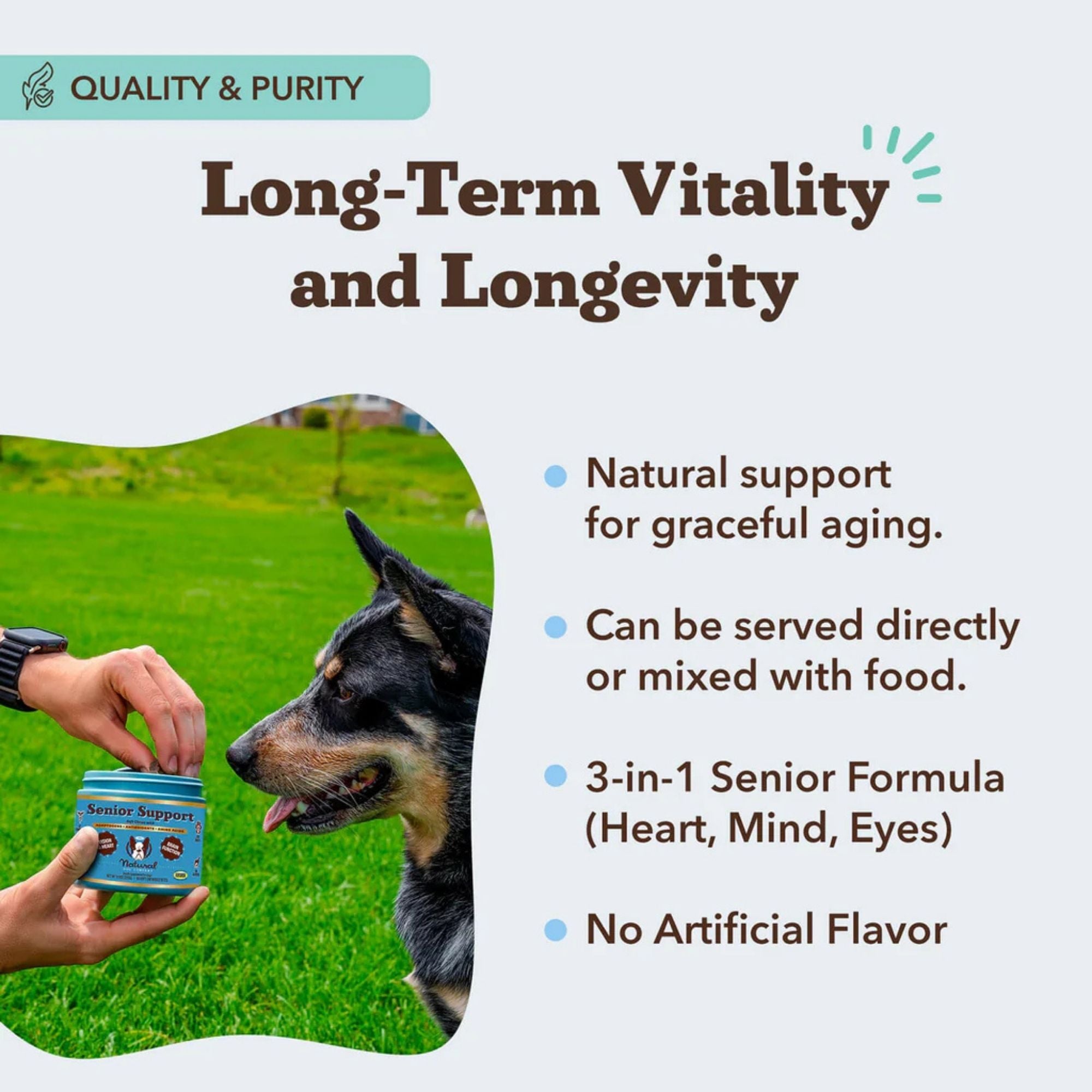 Natural Dog Company Dog Senior Support Chews - 90 Count