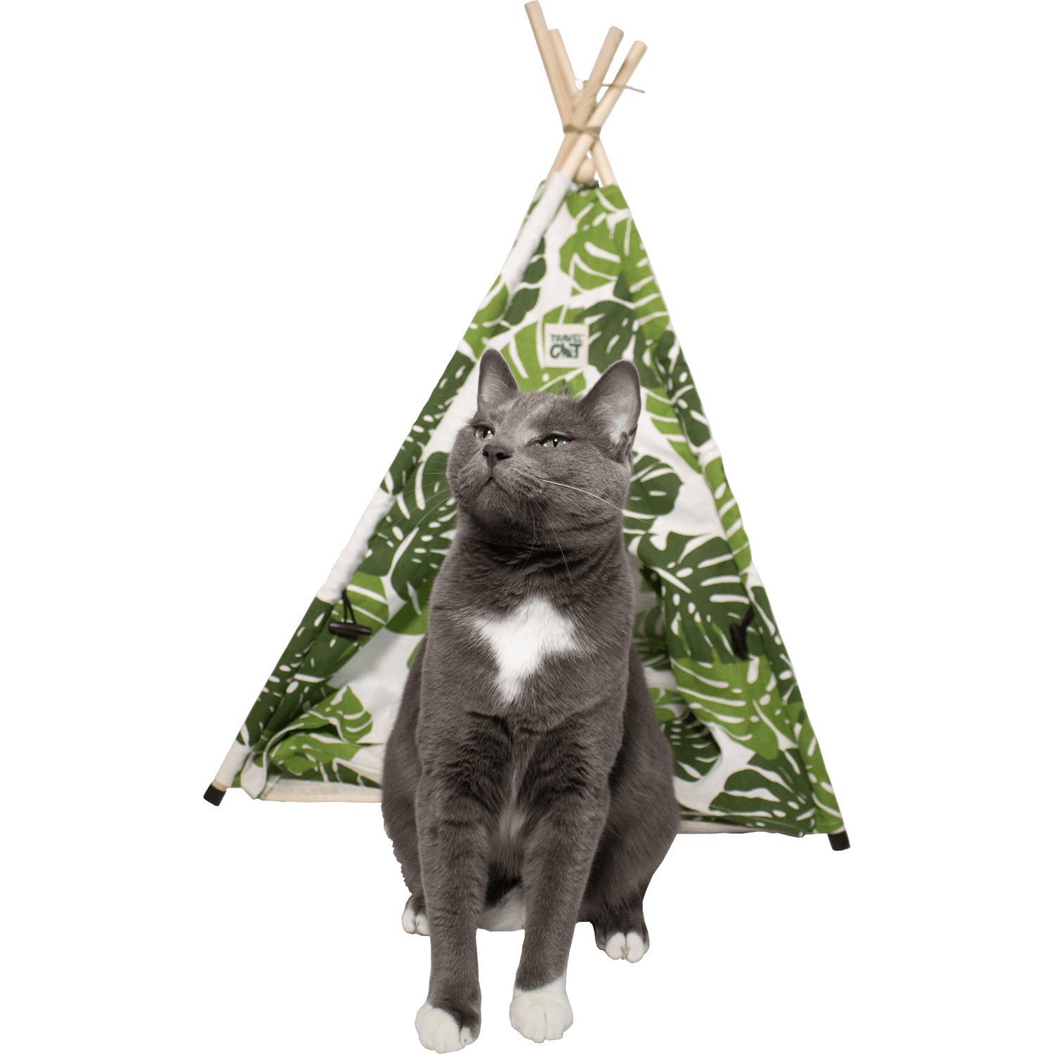 Travel Cat Monstera Cat Tent Bed - Image 5