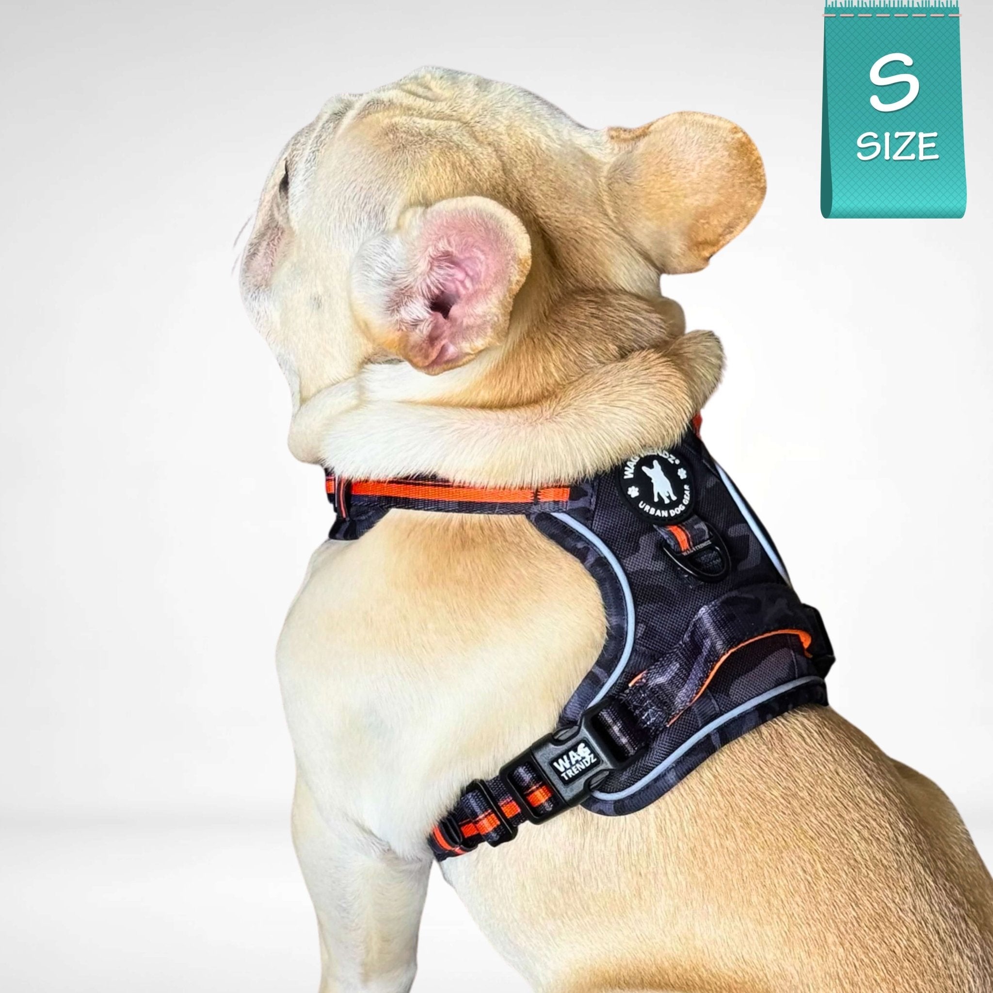 French Bulldog wearing a black & gray camo dog harness with orange accents on a white background and a Small size sticker in corner