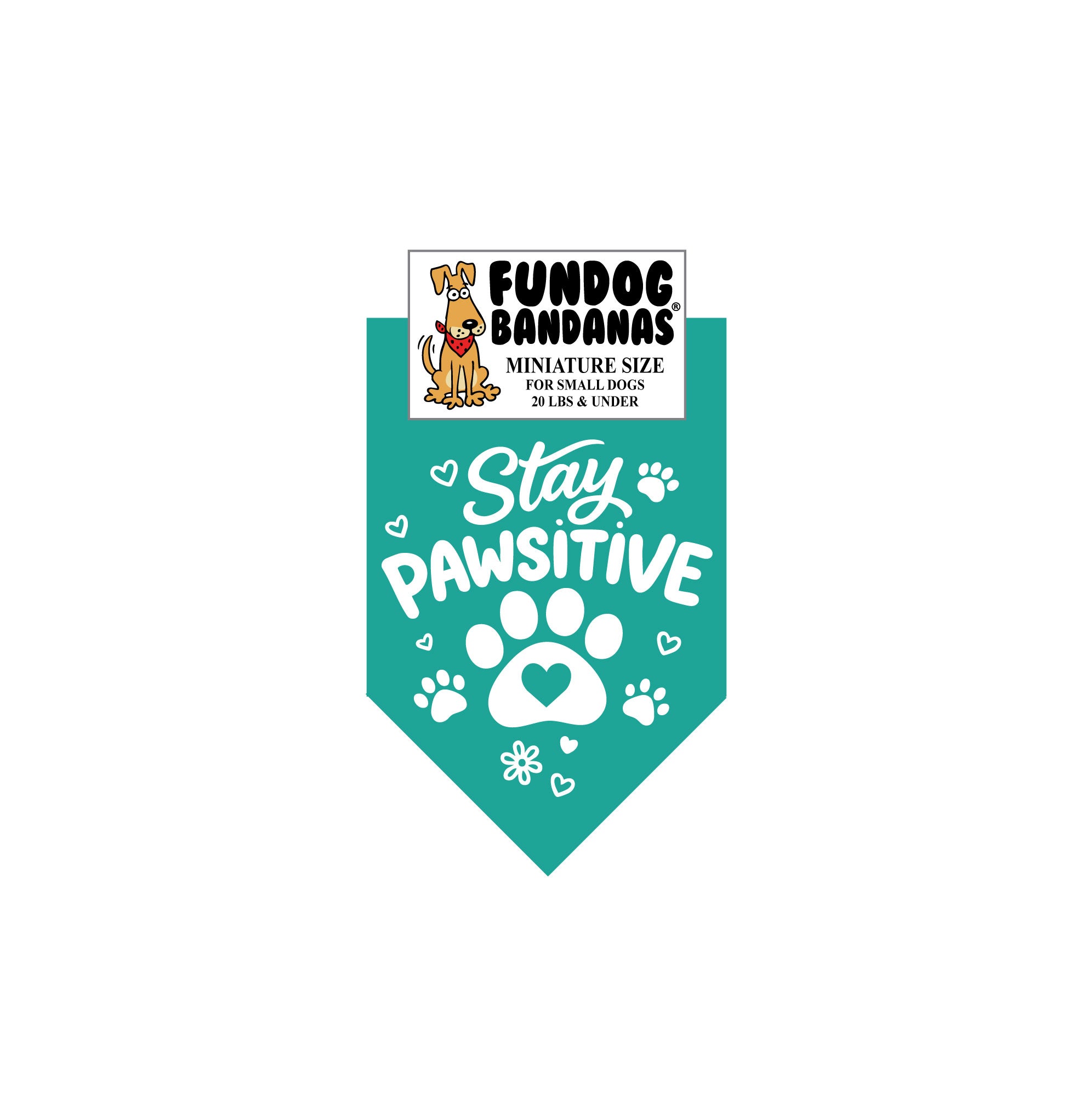 Wholesale Pack - Stay Pawsitive - Assorted Colors - Image 7