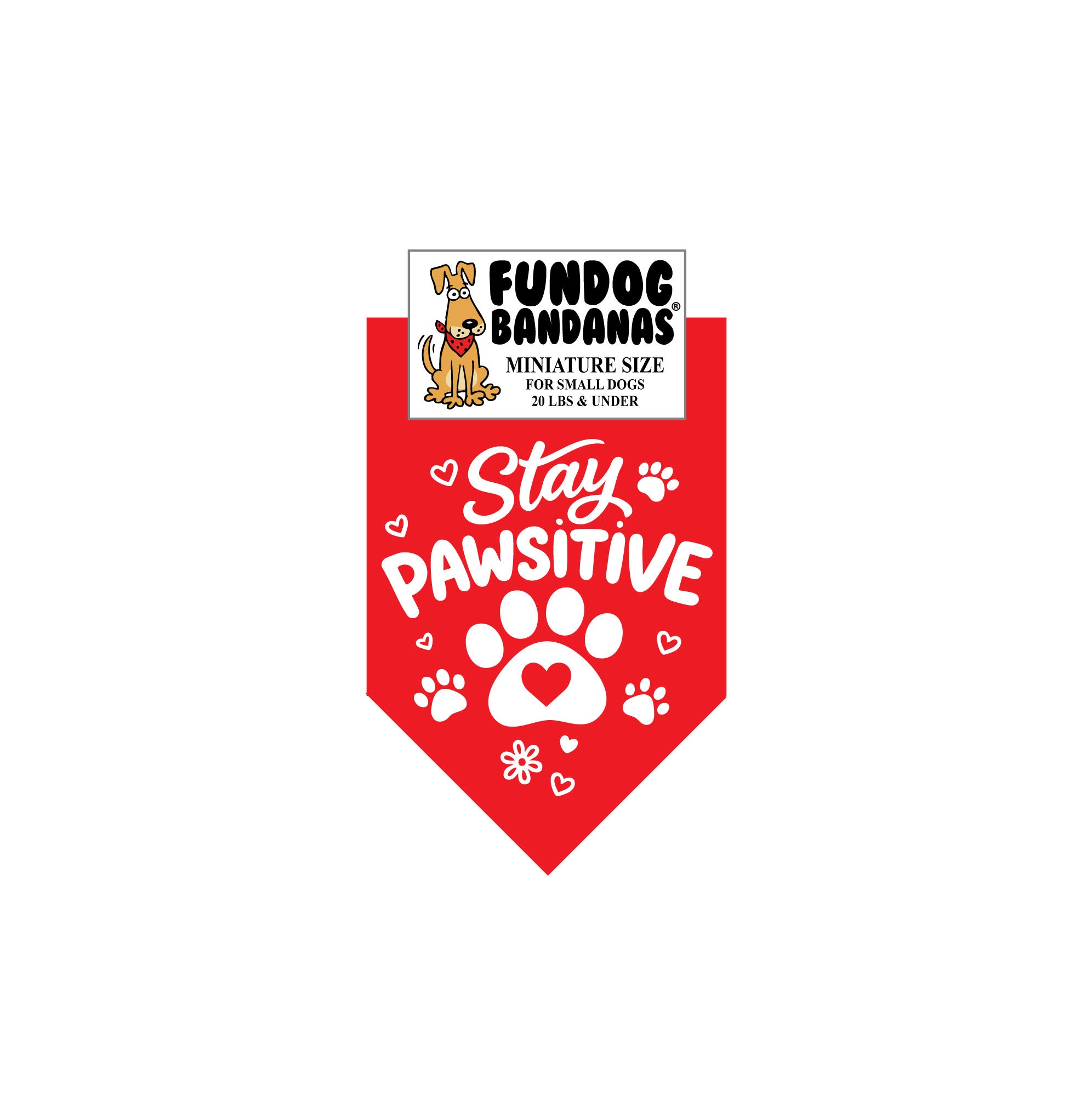 Wholesale Pack - Stay Pawsitive - Assorted Colors