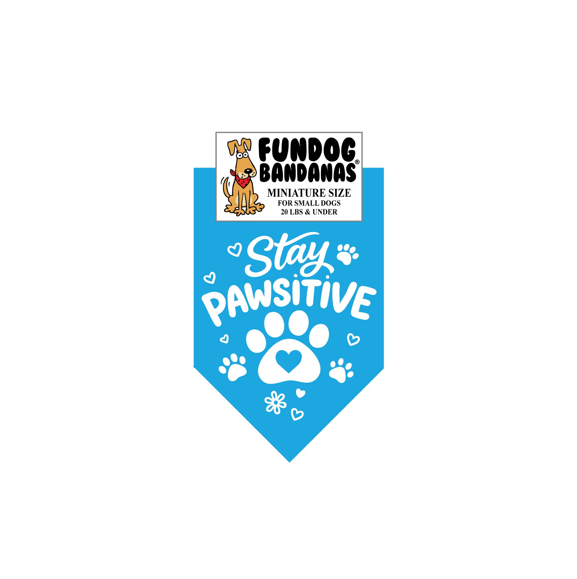 Wholesale Pack - Stay Pawsitive - Assorted Colors - Image 3