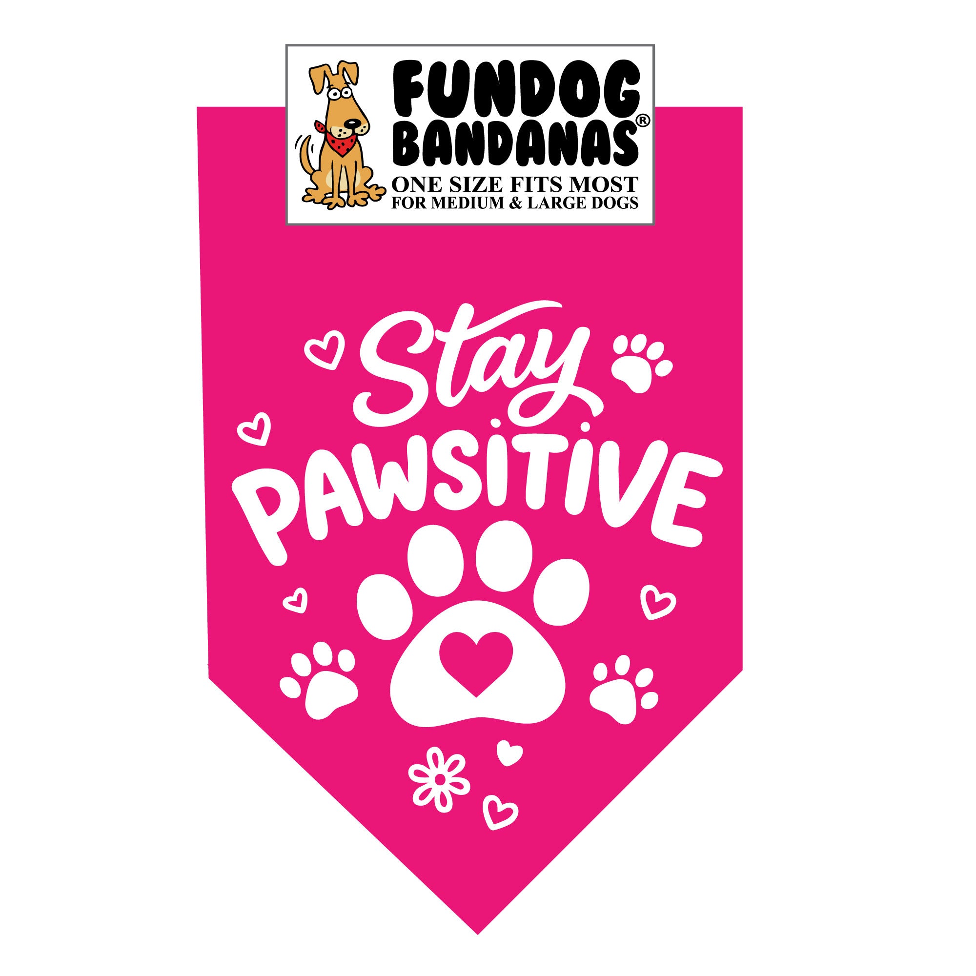 Wholesale Pack - Stay Pawsitive - Assorted Colors - Image 6
